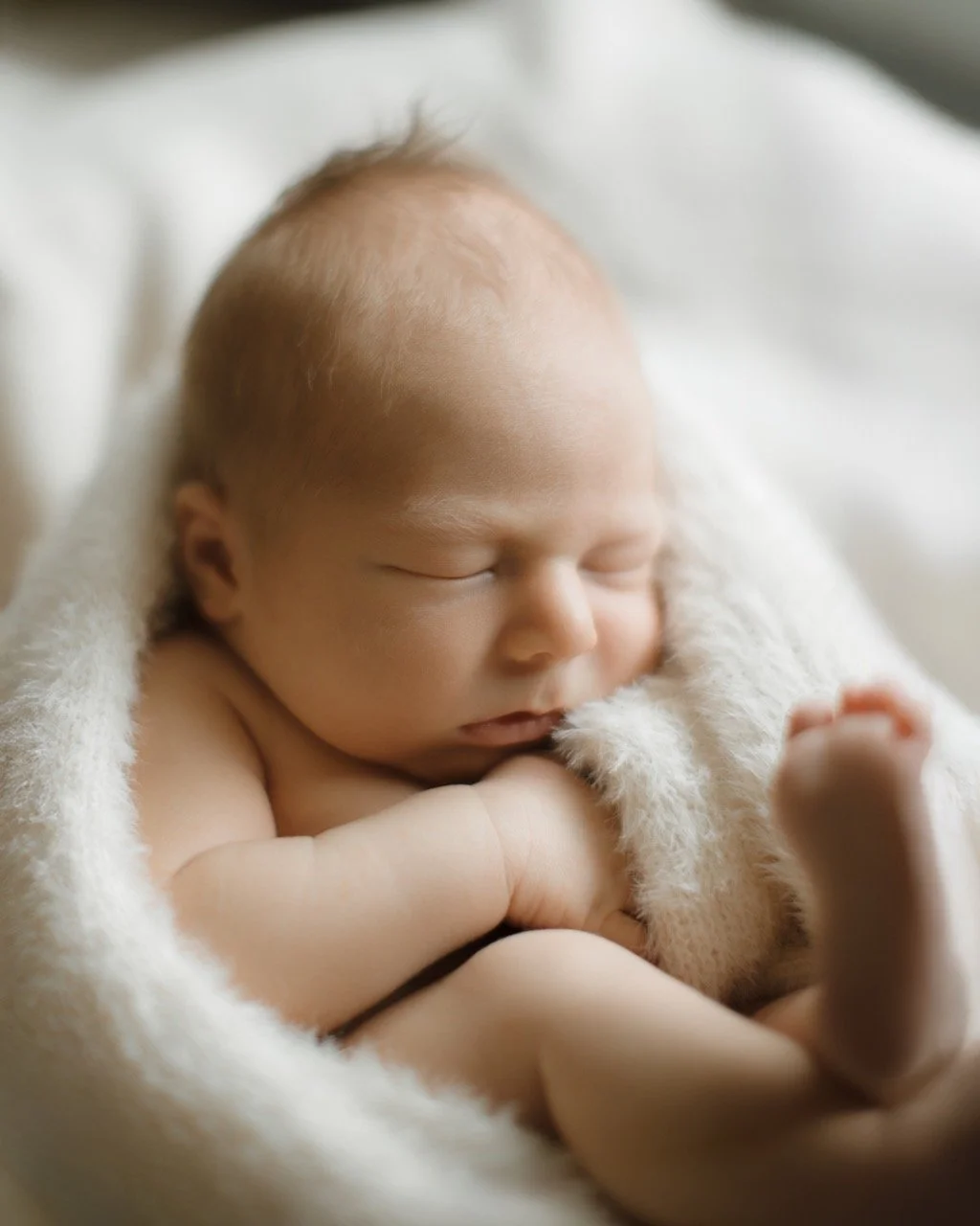 baby photography wrapped up maitland