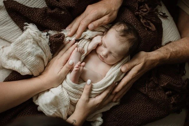 _Q5A1517 copy Medium.jpeg