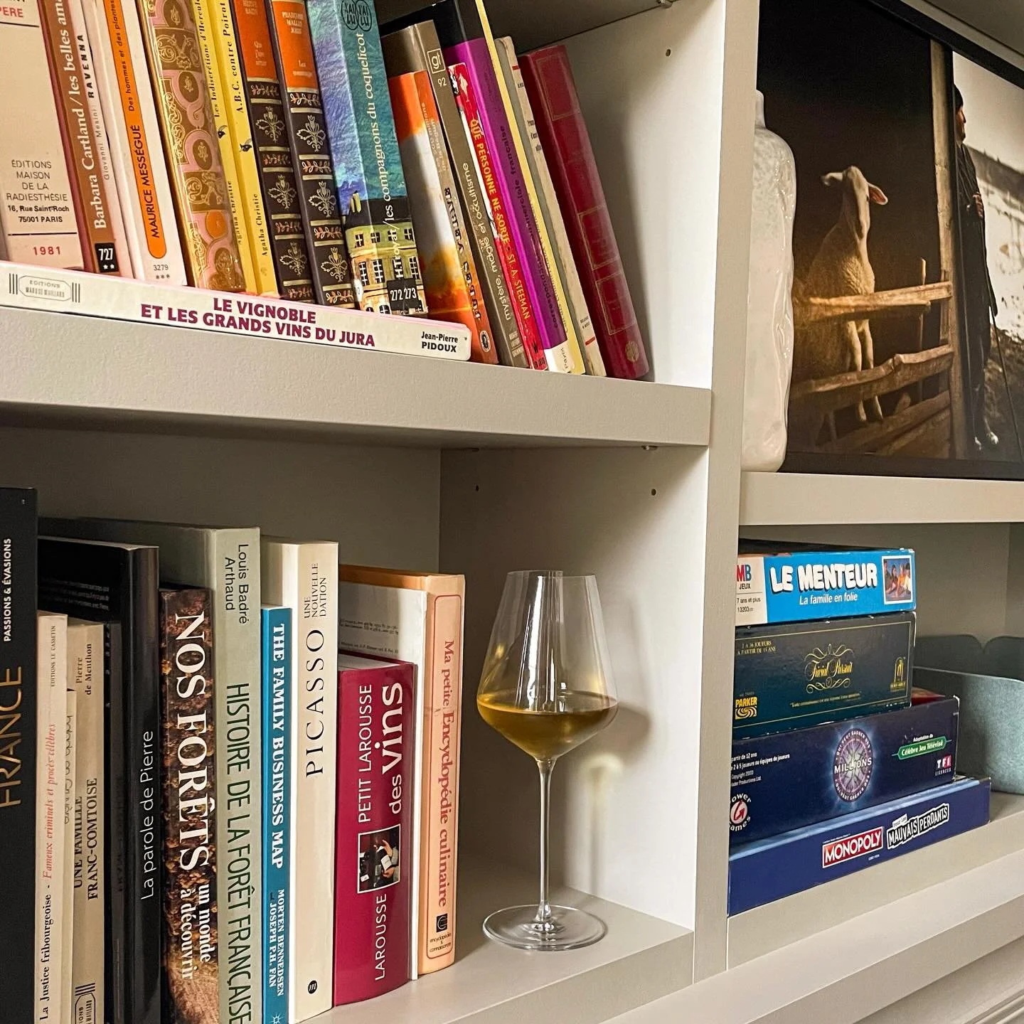 A fully furnished biblioth&egrave;que.