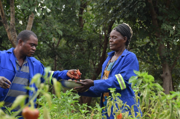 By Life Connected_1.png