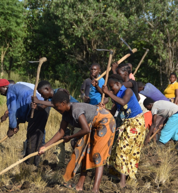 By Life Connected_5.png