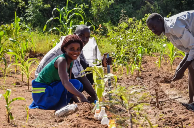 Community-led Land-Use Management Webinar "The Mponda Case"