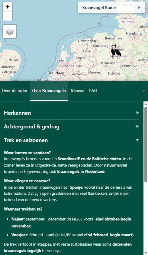 More background information