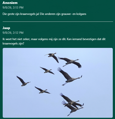 Nu op kraanvogelradar.nl!