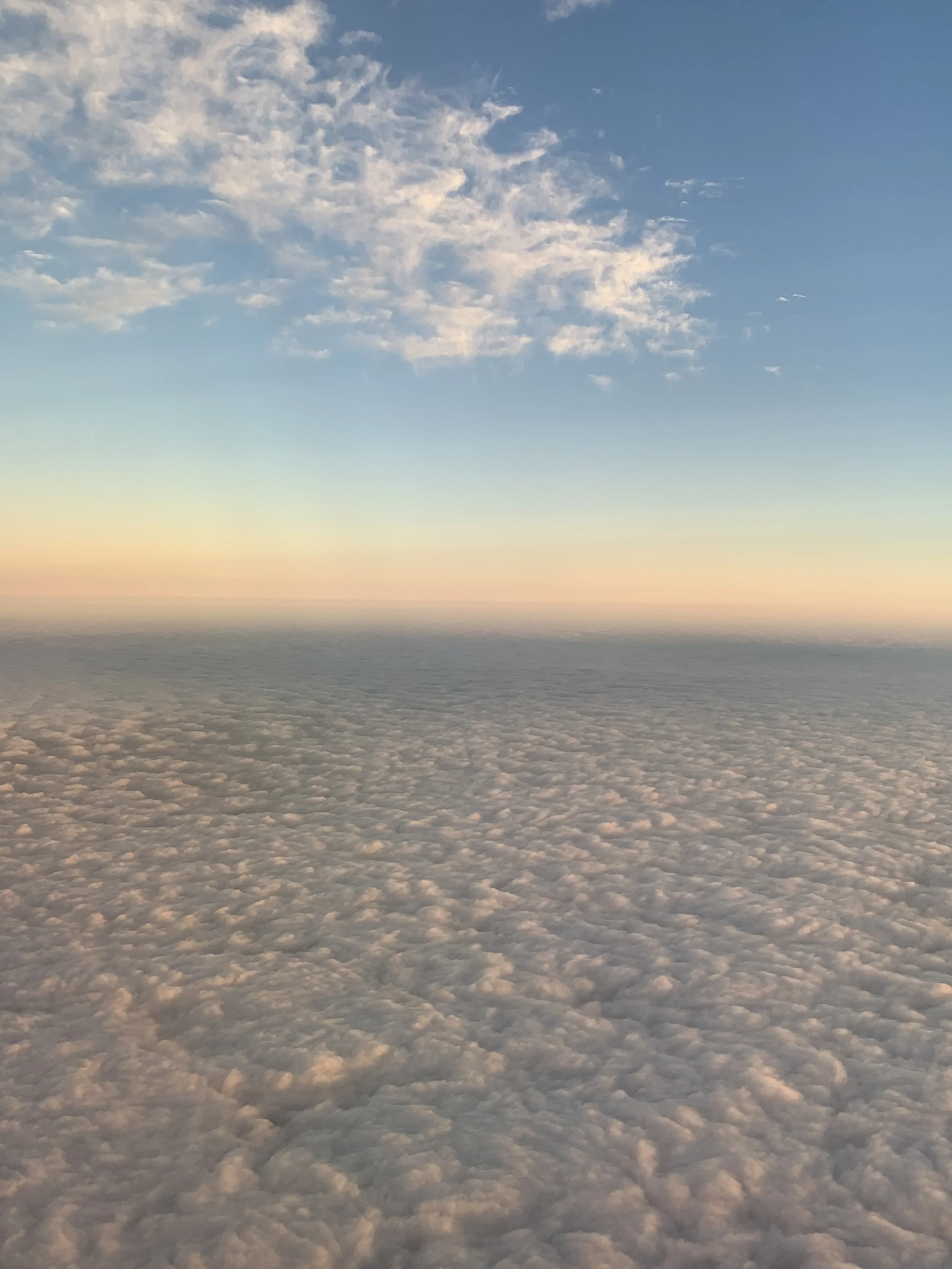 California Sunset (2025)