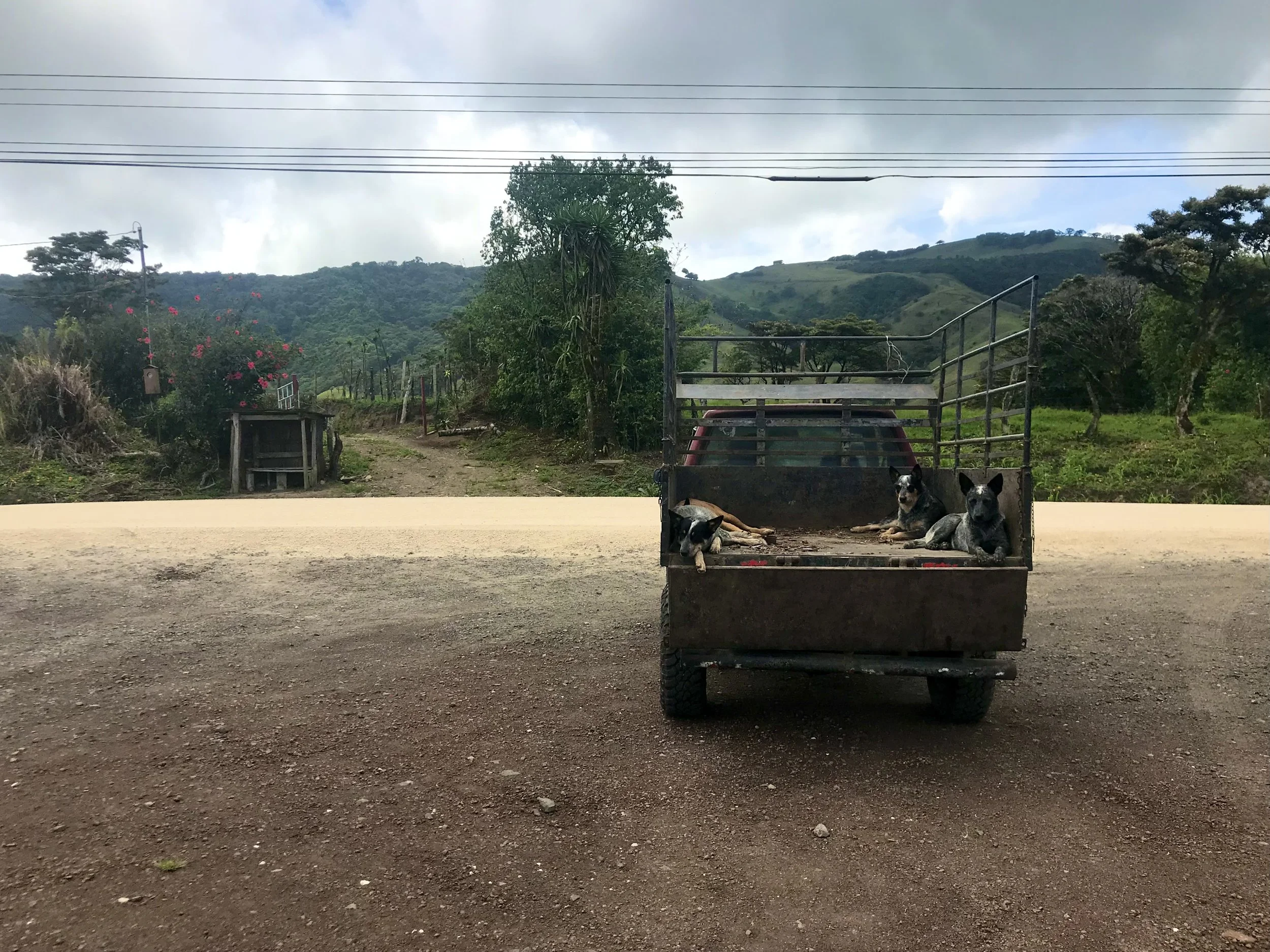 Tilaran, Costa Rica (2018)