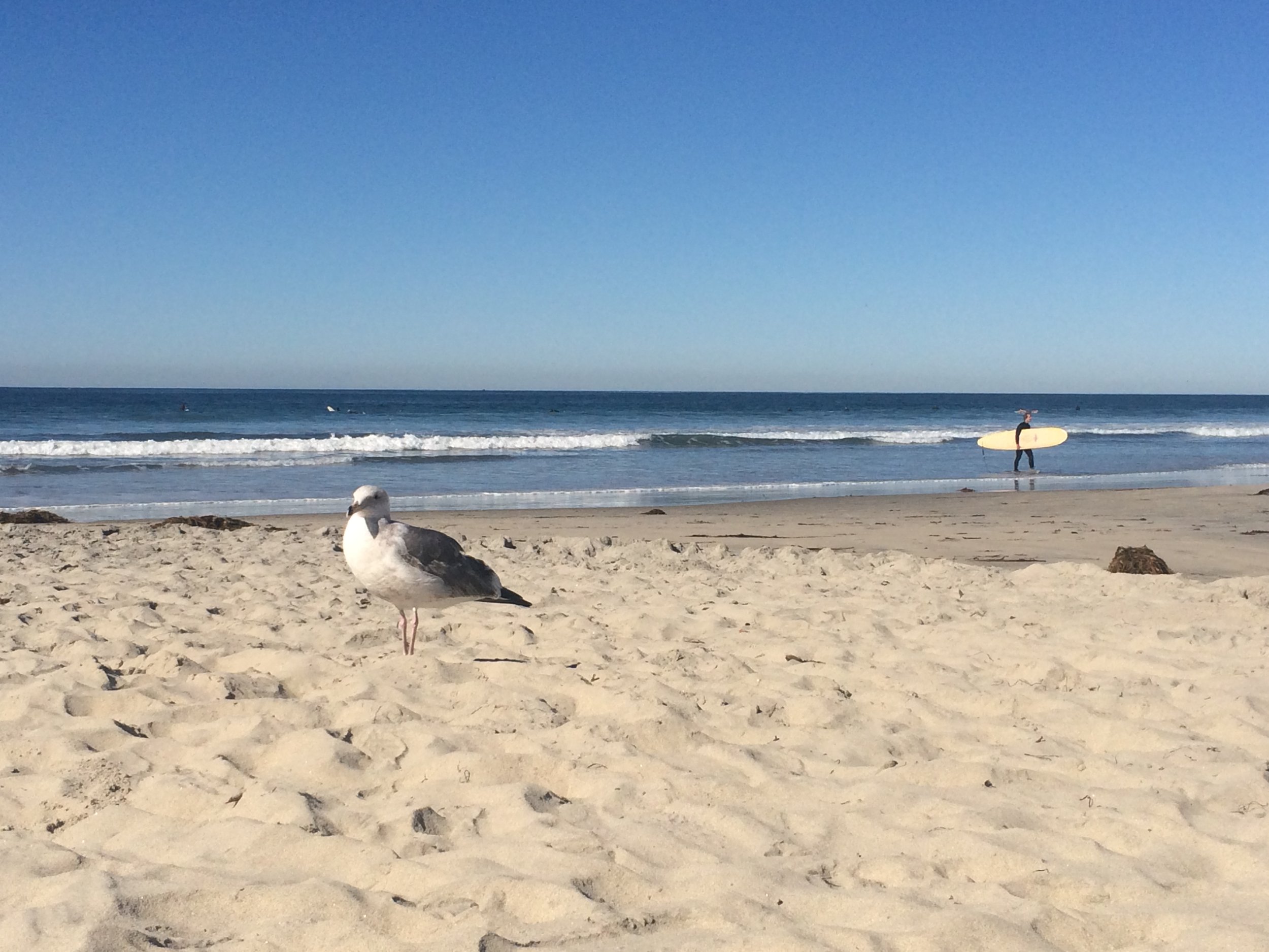Pacific Beach, San Diego, CA (2015)