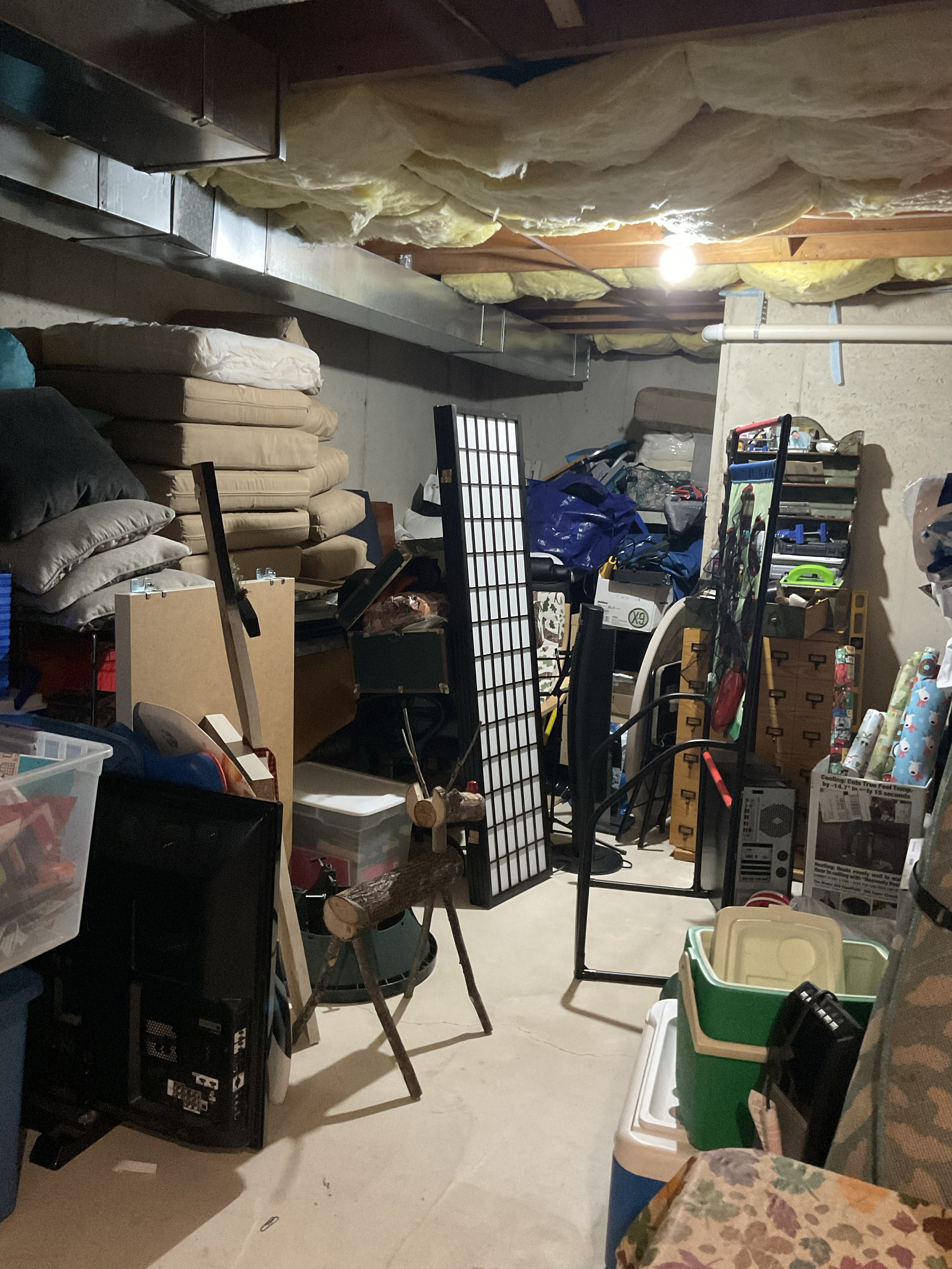 Basement - Before