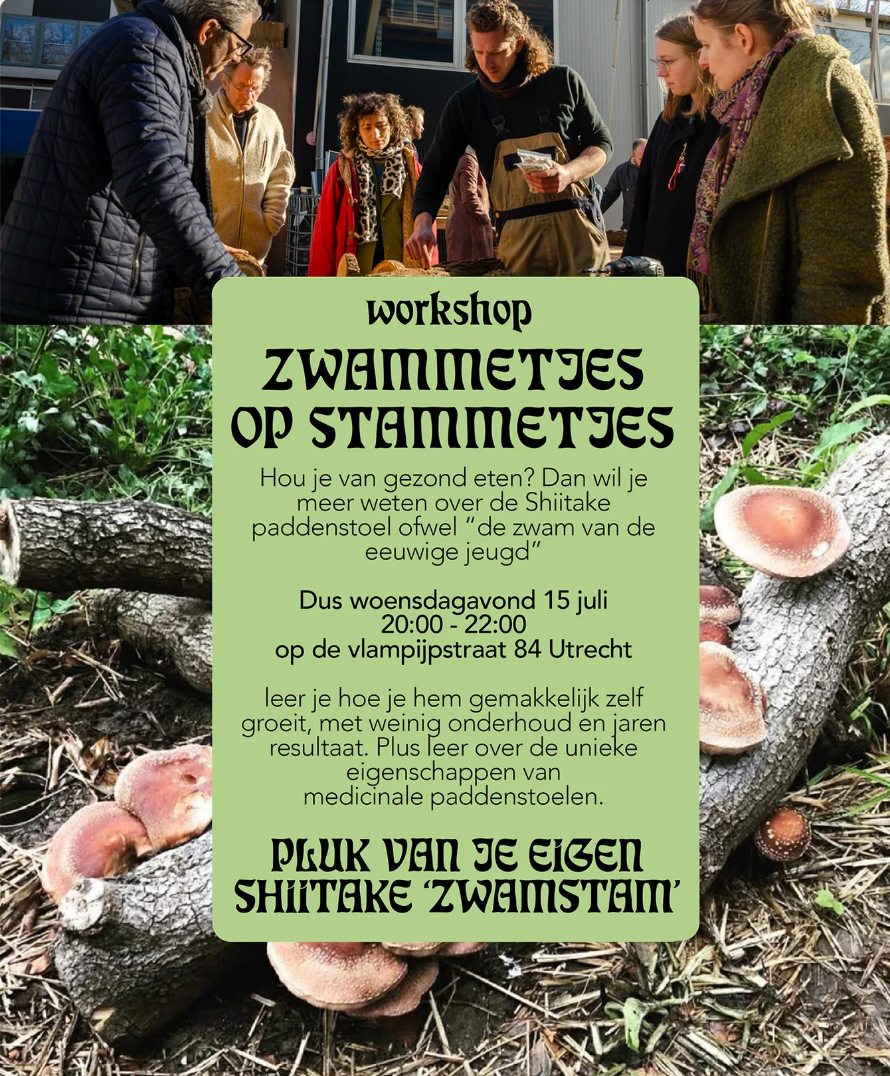 JamieNee | WORKSHOP | ZWAMMETJES OP STAMMETJES