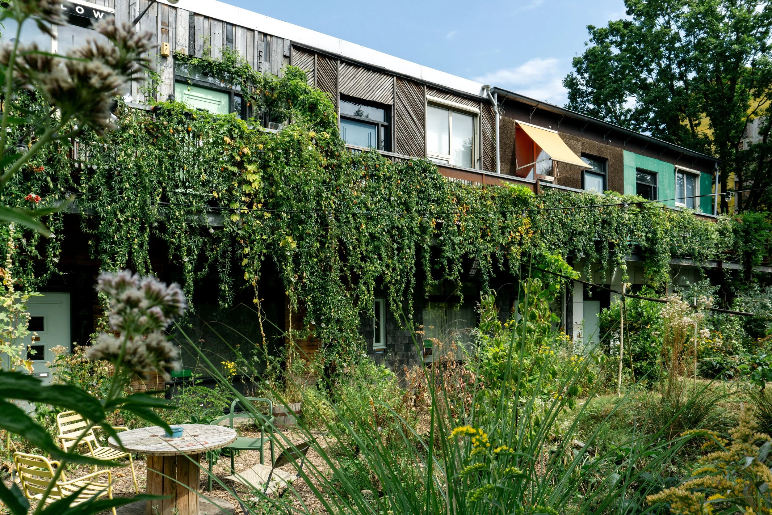 Inez_Faber_Hoftuin_aug24_2.jpg