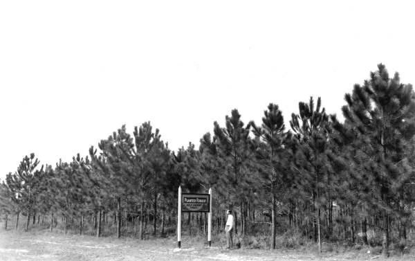 Cummer Sons Cypress Company 1939 .jpg