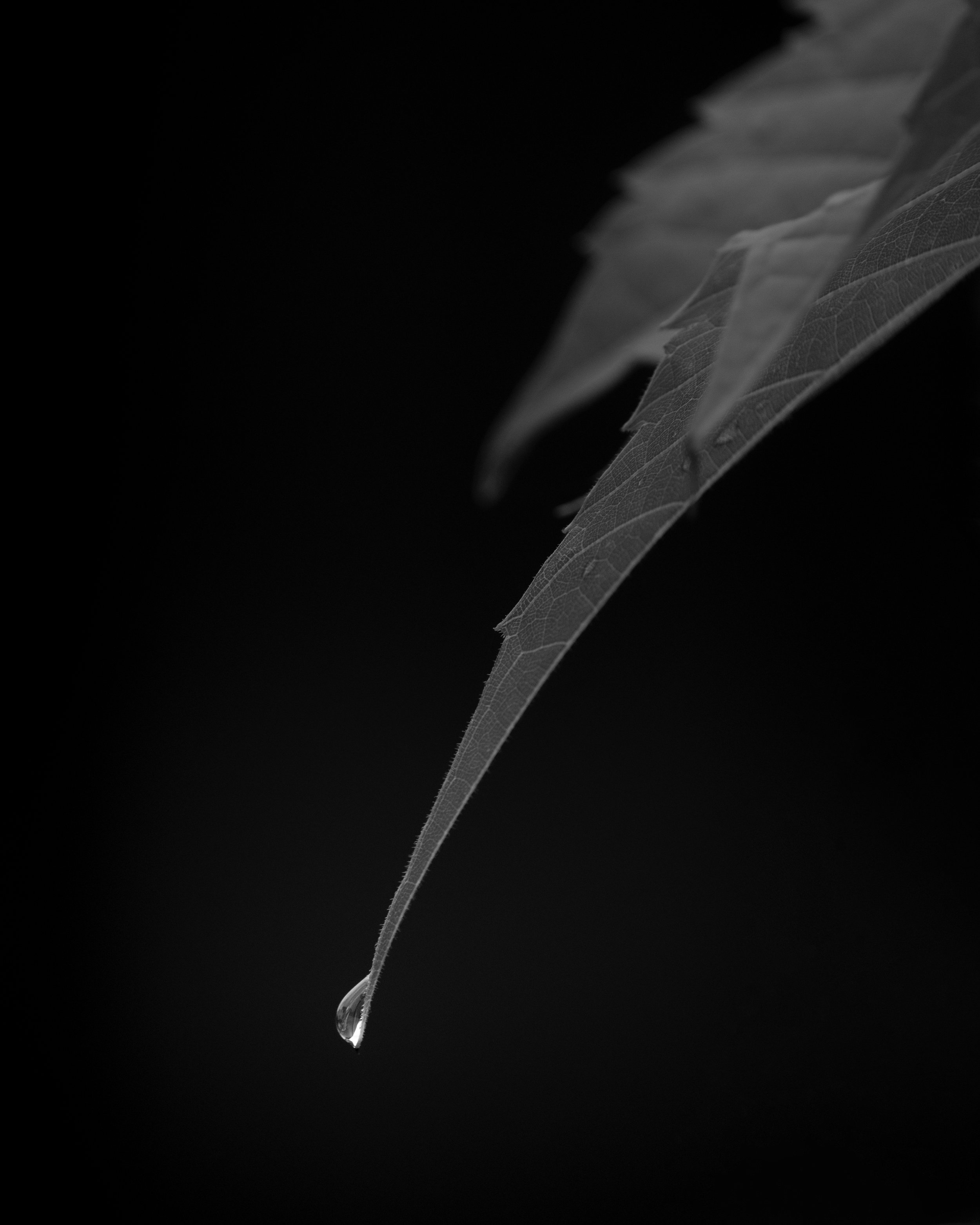 Background.jpg