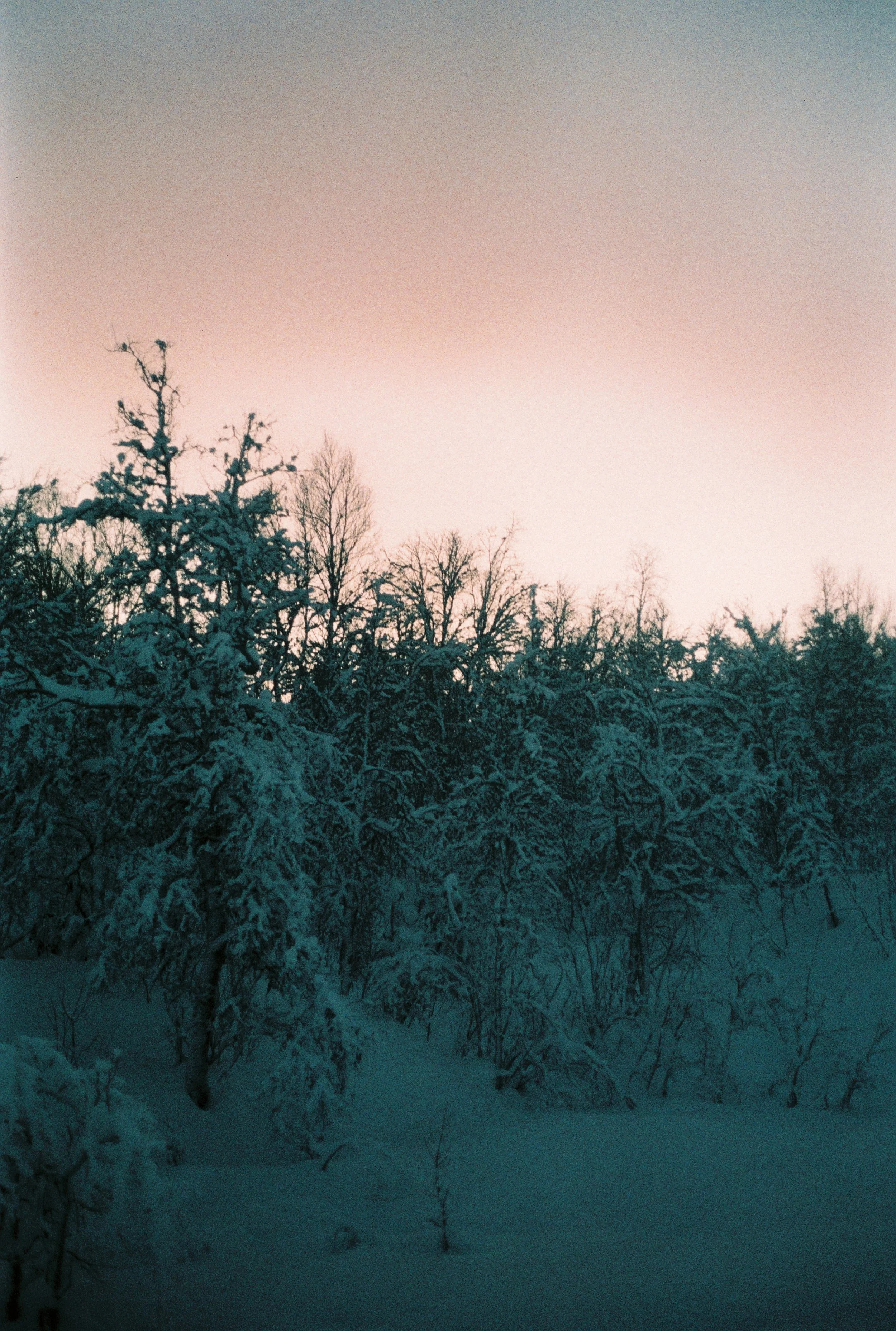 000048.JPG