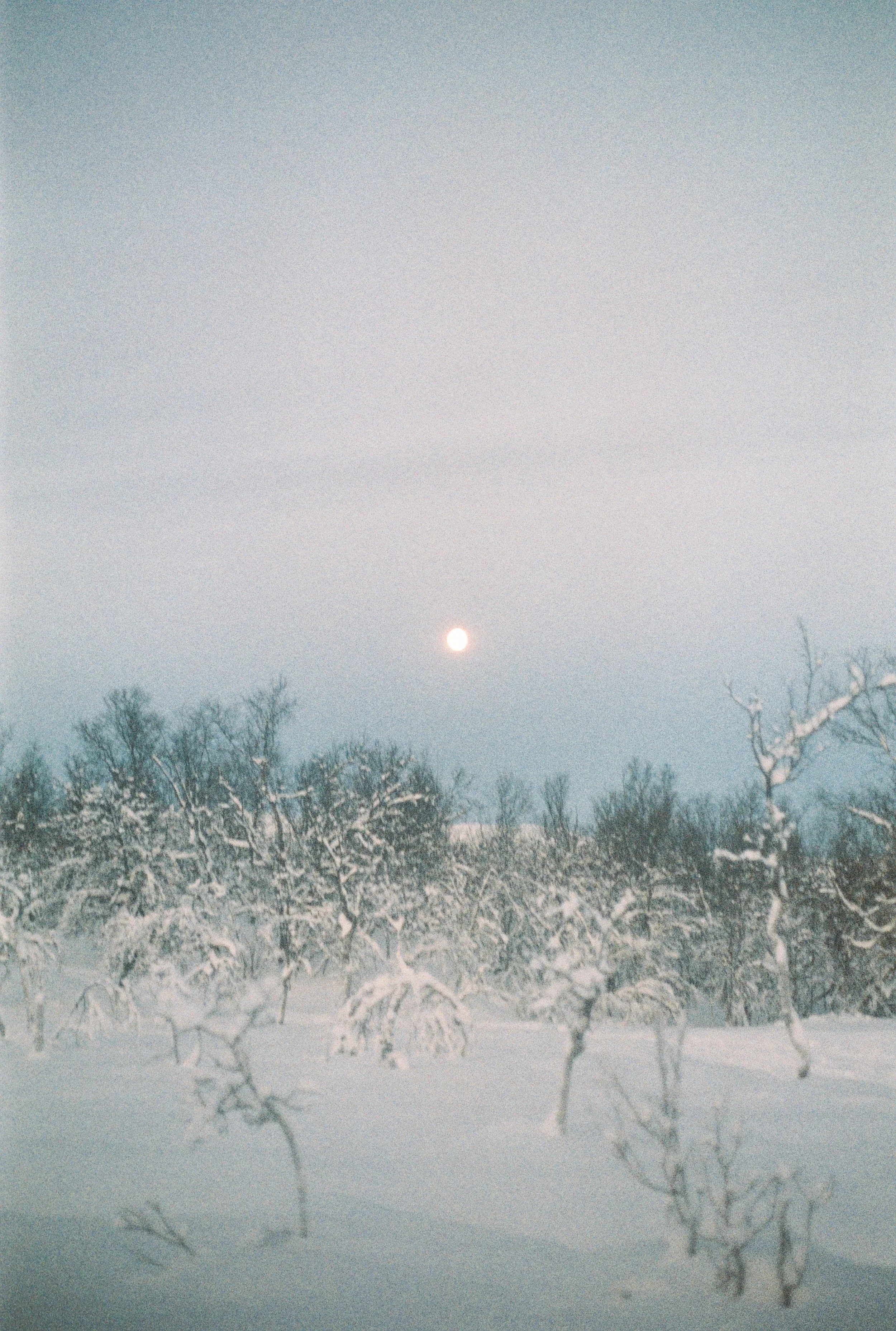 000058.JPG