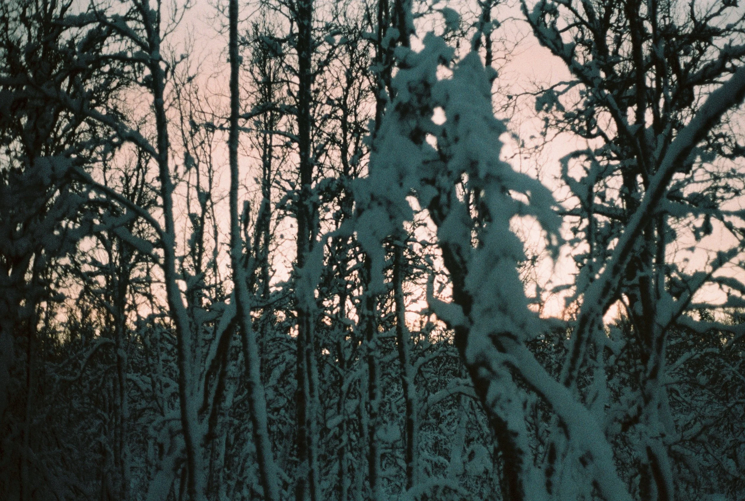 000054.JPG