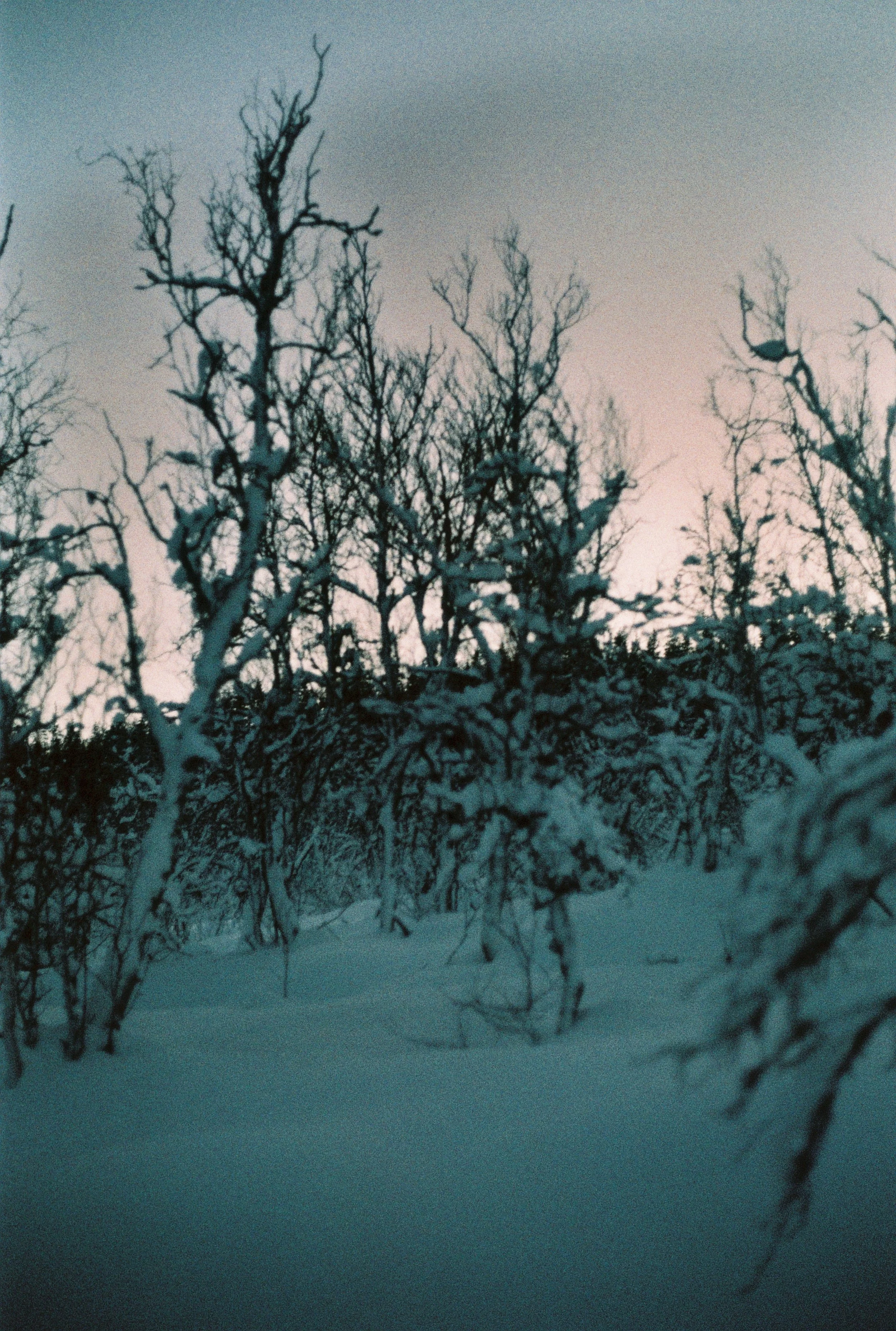 000040.JPG