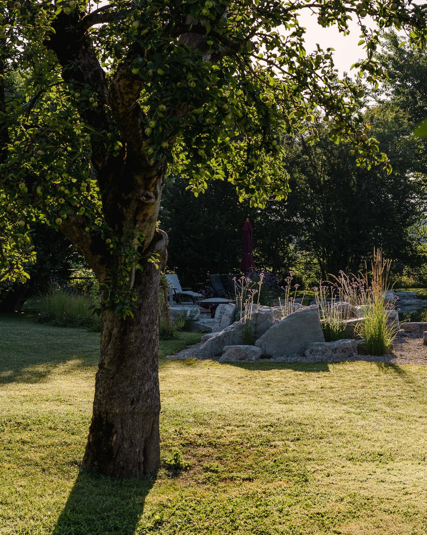 Was bleibt von einem Garten, wenn die Bauphase l&auml;ngst vorbei ist?

F&uuml;r uns ist es immer etwas Besonderes, Jahre sp&auml;ter in einen Garten zur&uuml;ckzukehren und zu sehen, wie er sich entwickelt hat. Wie Pflanzen ihren Platz gefunden habe