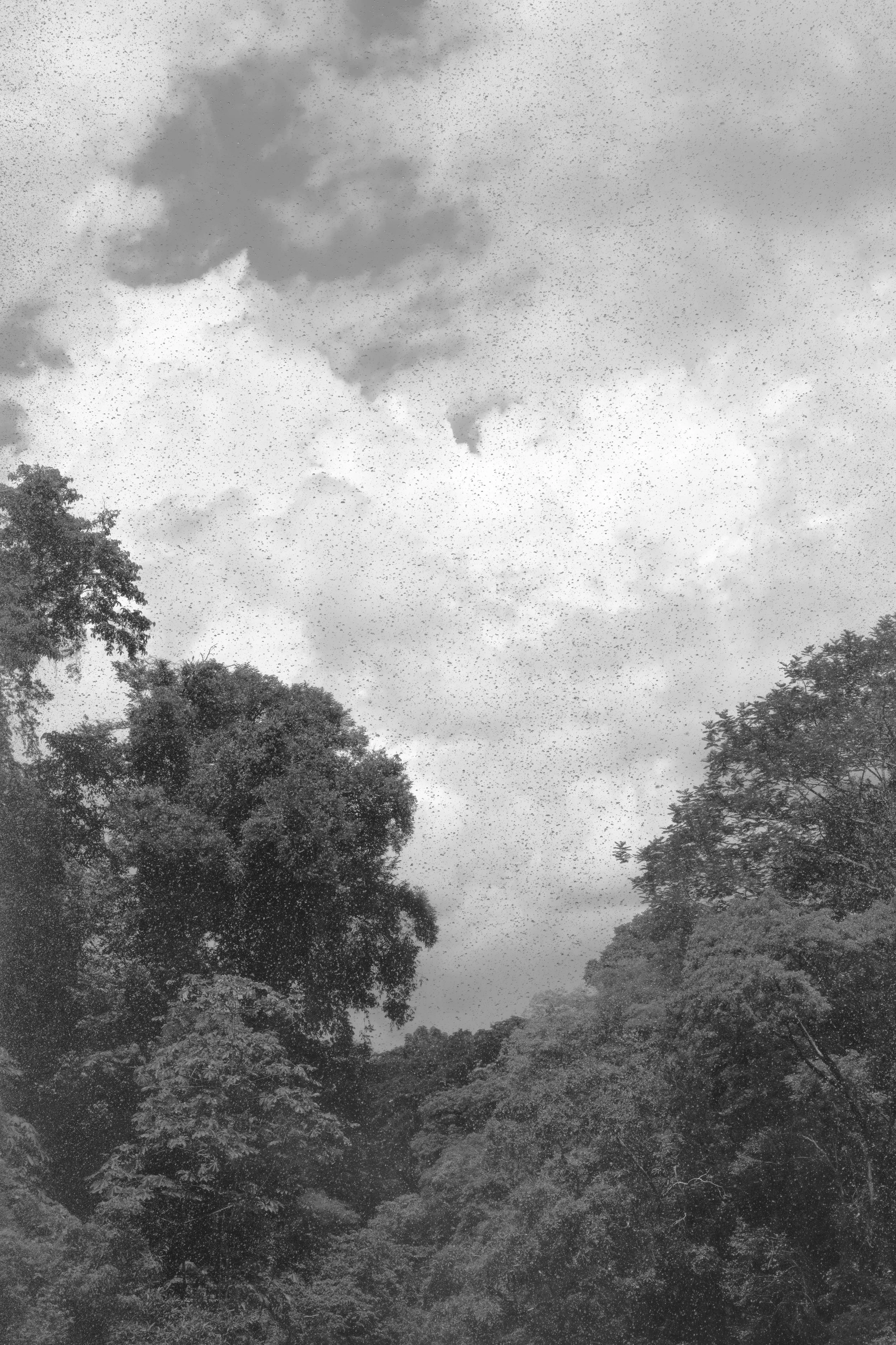DSCF6969-Enhanced-NR-1.jpg