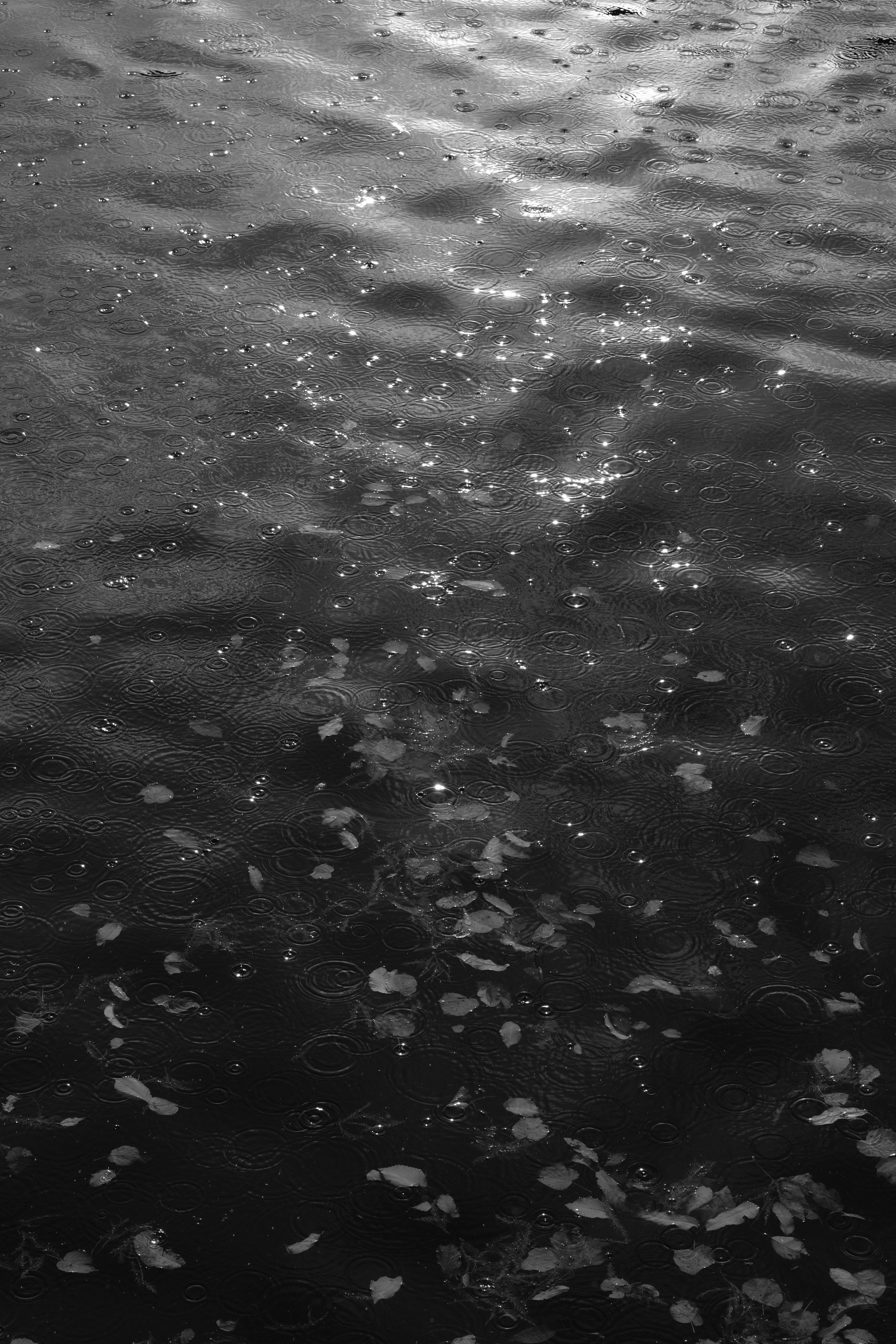 DSCF8640.jpg