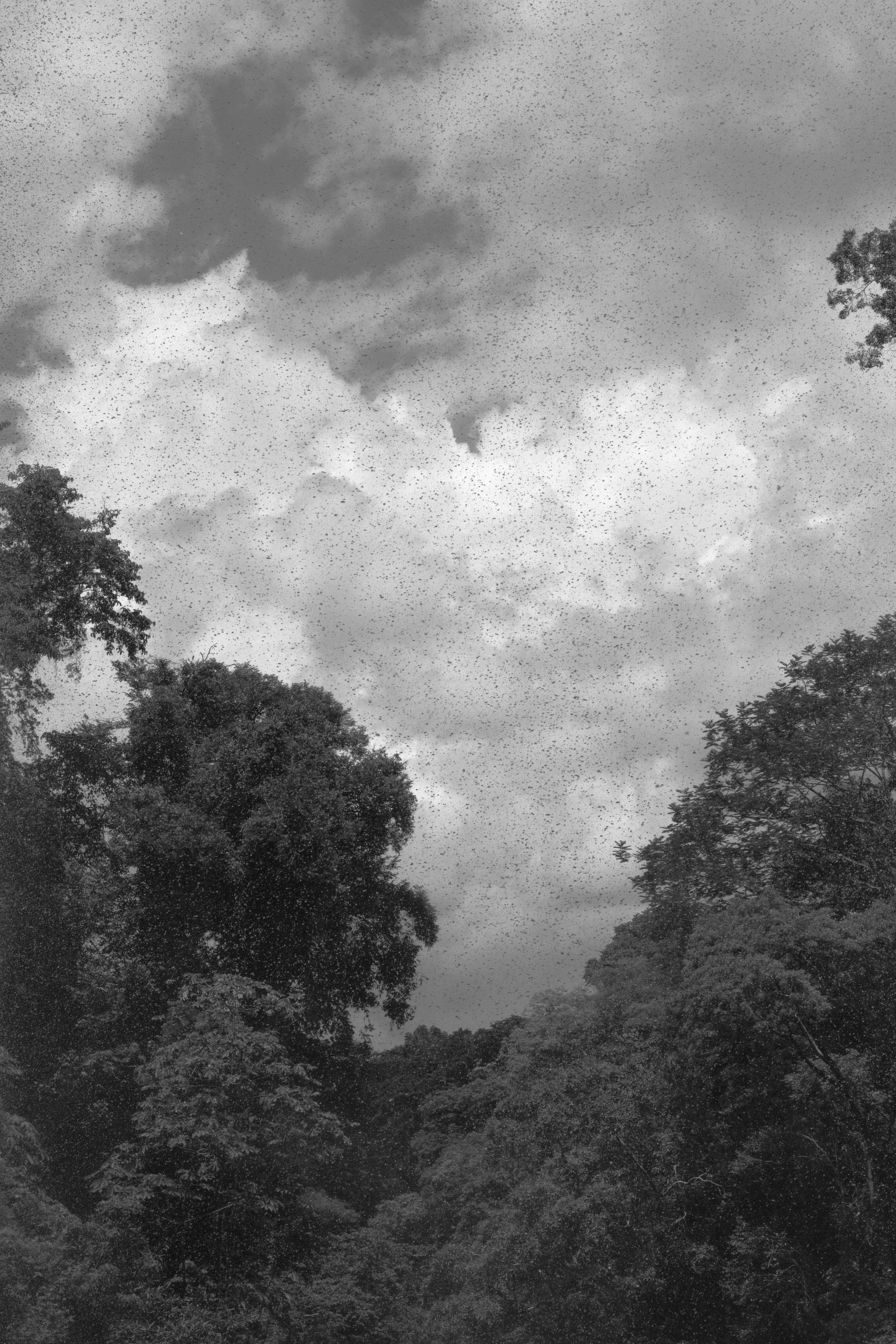DSCF6969.jpg