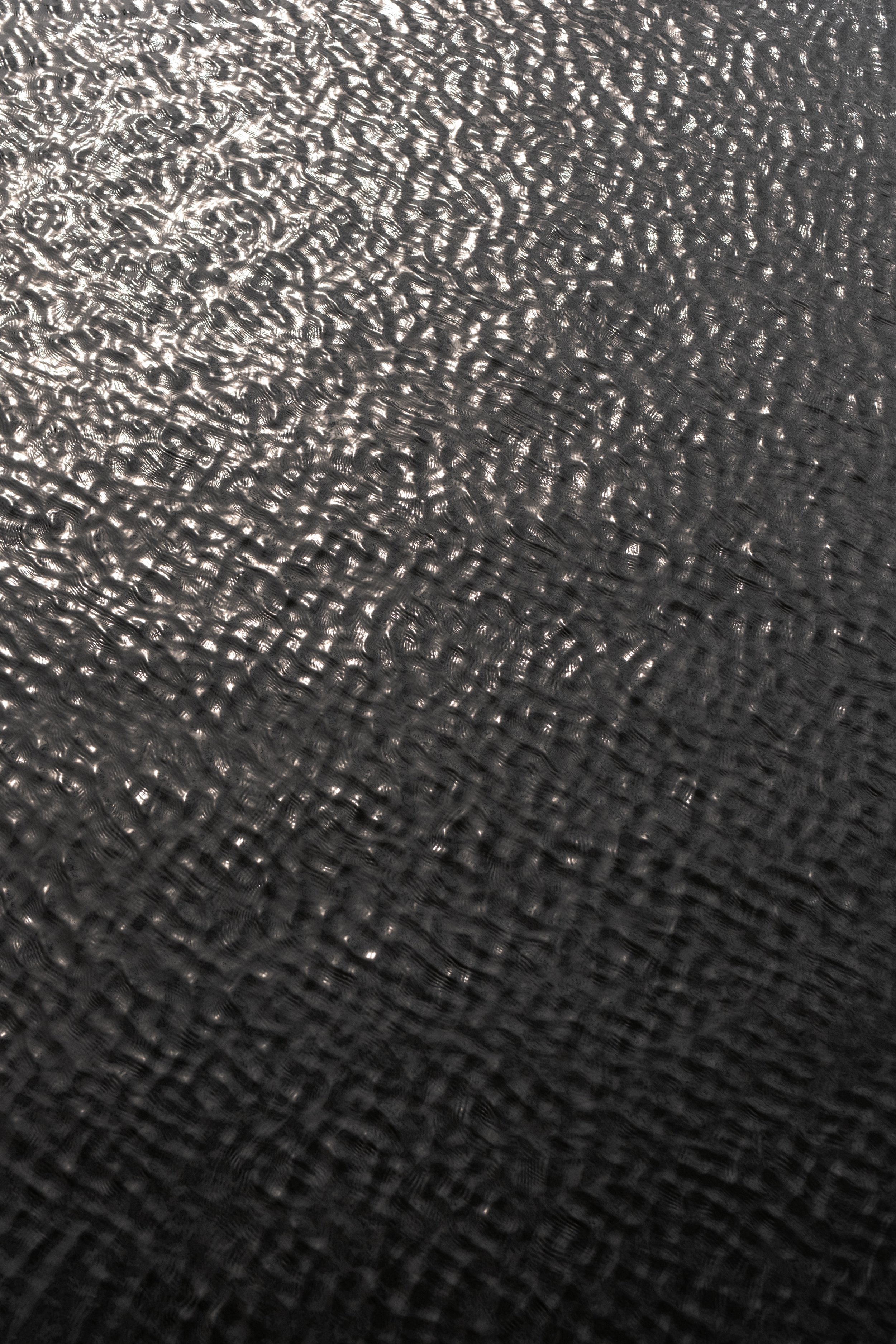 DSCF8162.jpg