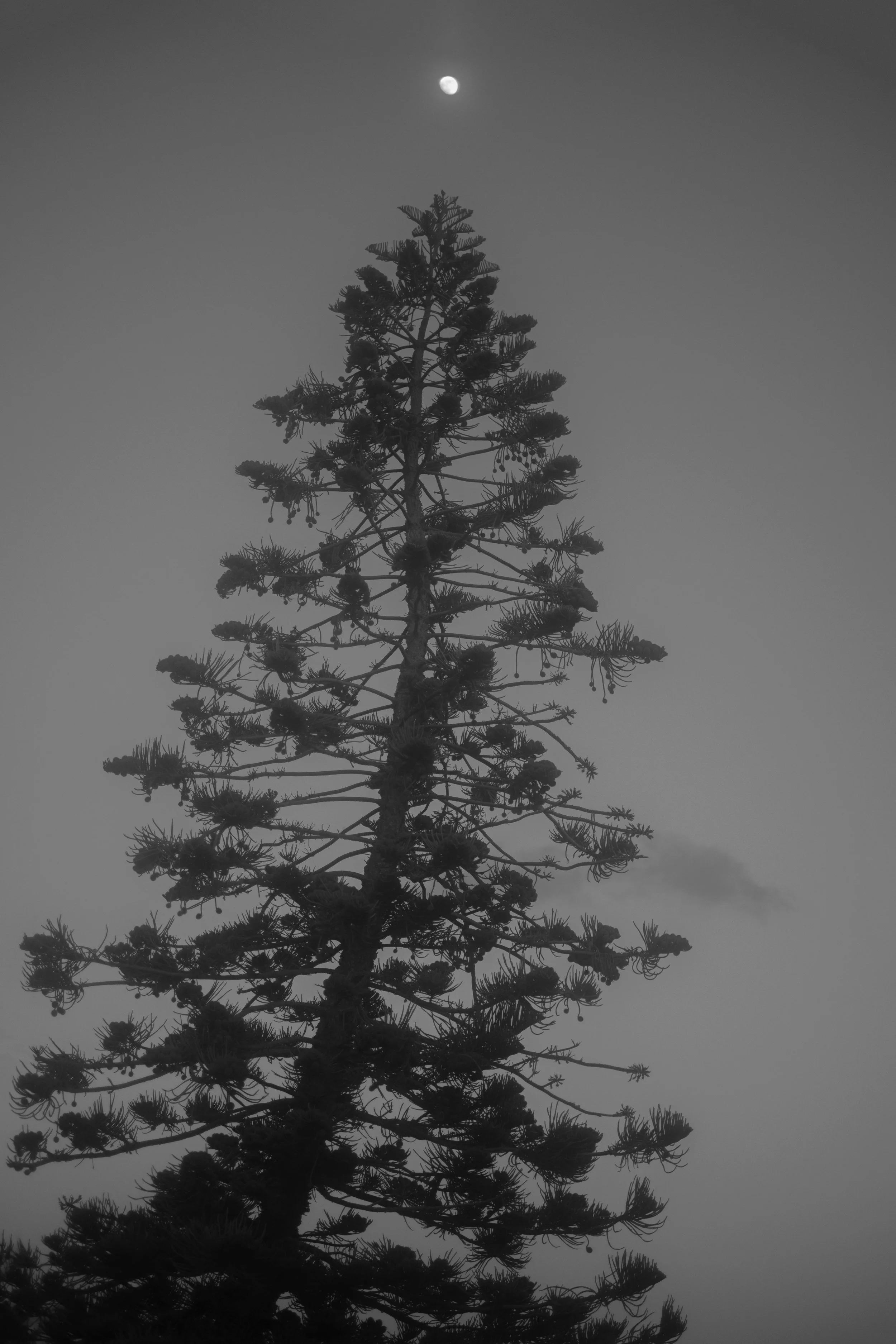 DSCF4379.jpg