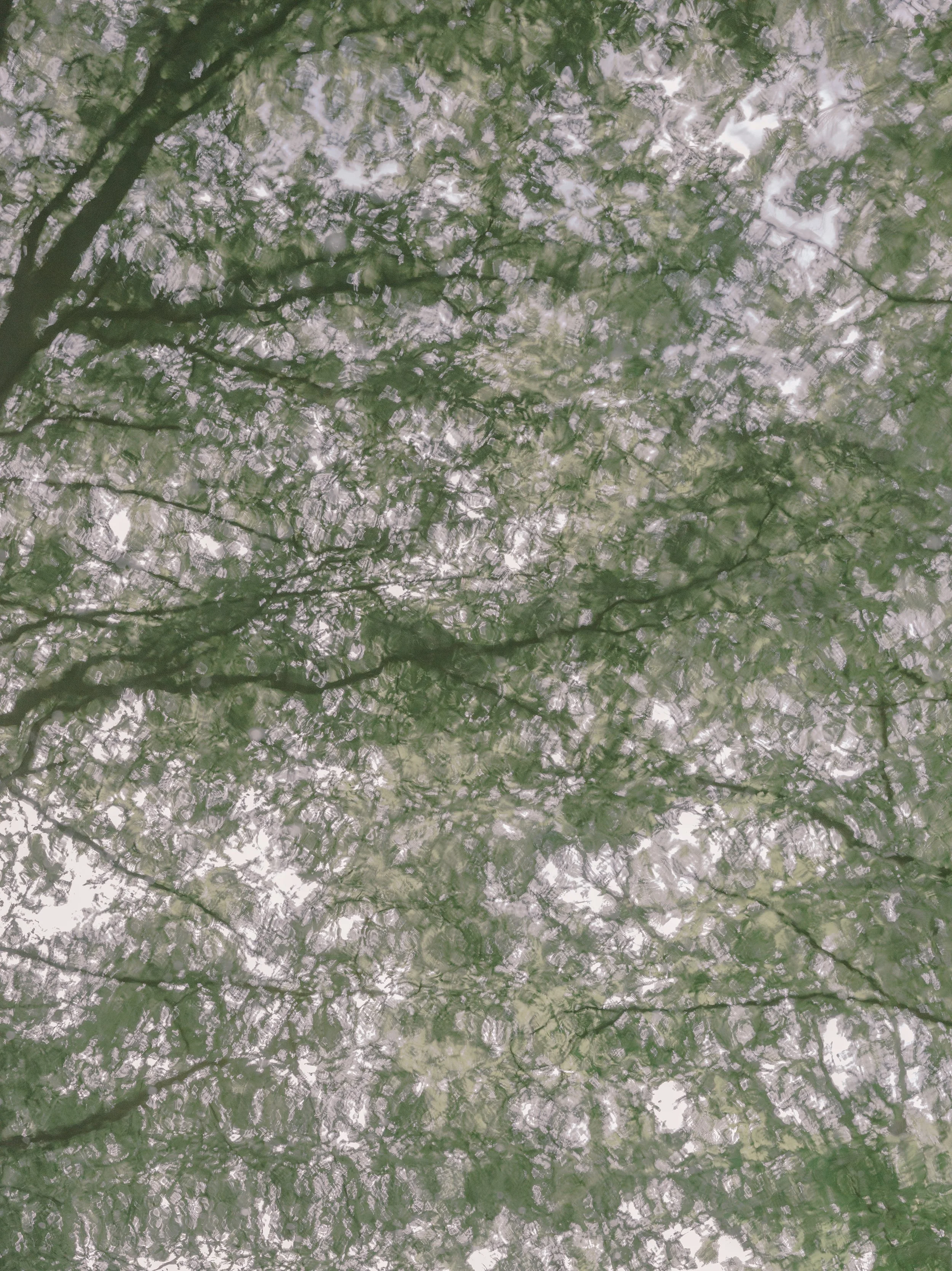 DSCF9198.jpg