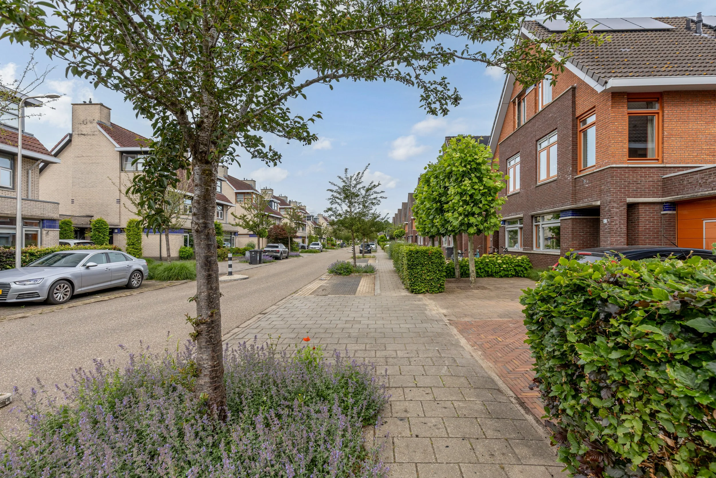 Heinelaan 41, 3931 WZ Woudenberg, Nederland-4.jpg