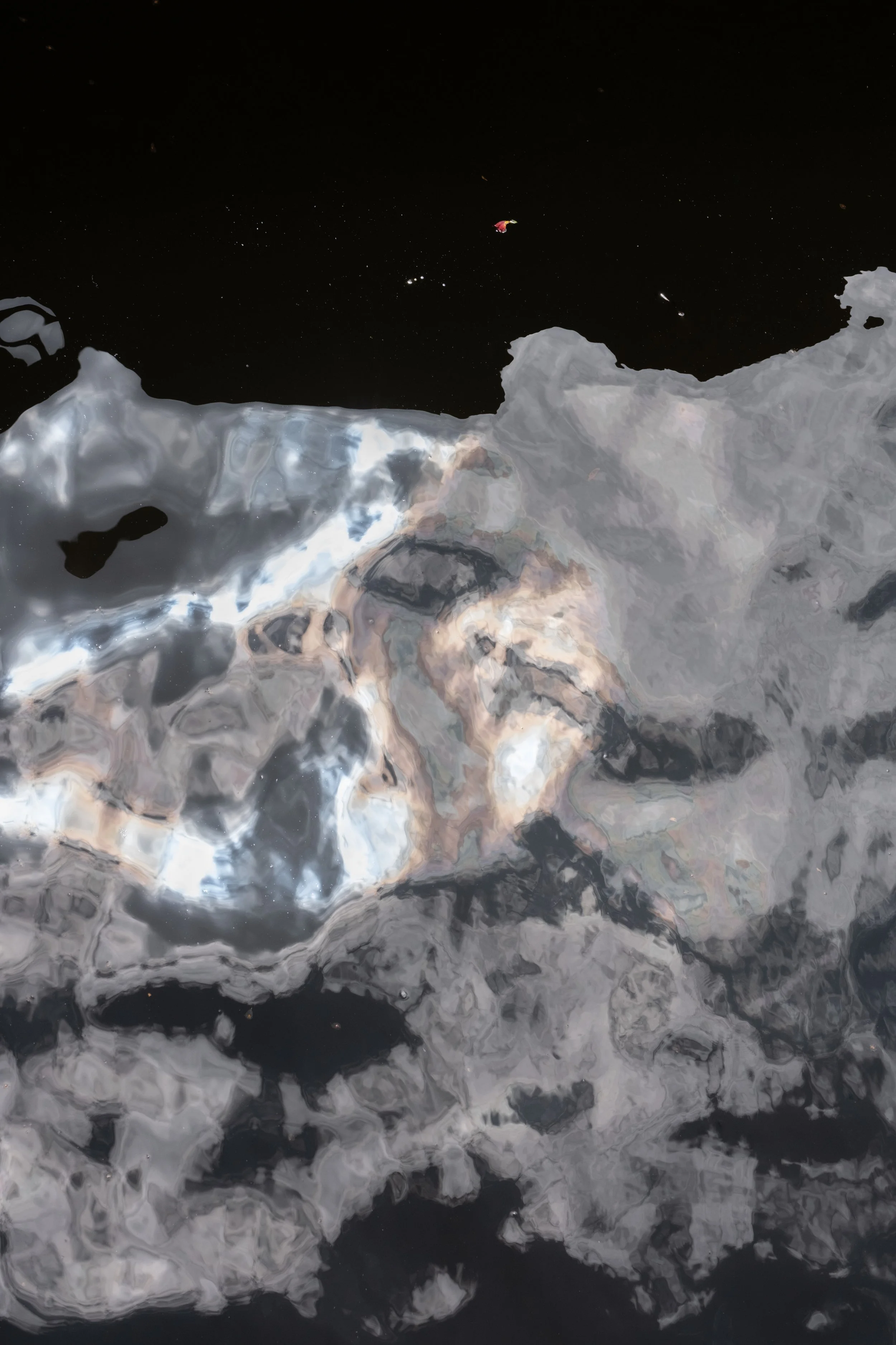 DSCF8454.jpg