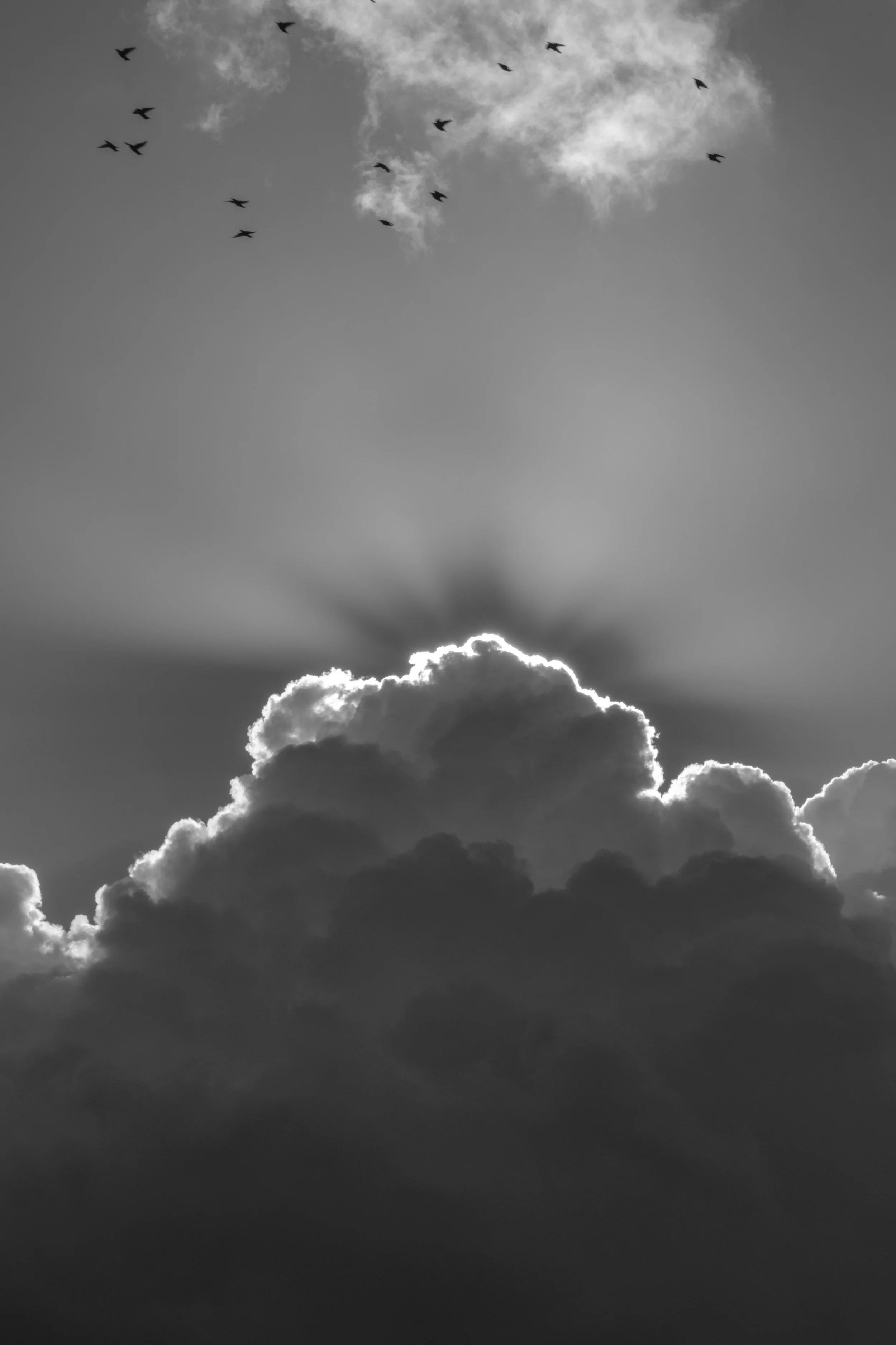 DSCF8458.jpg