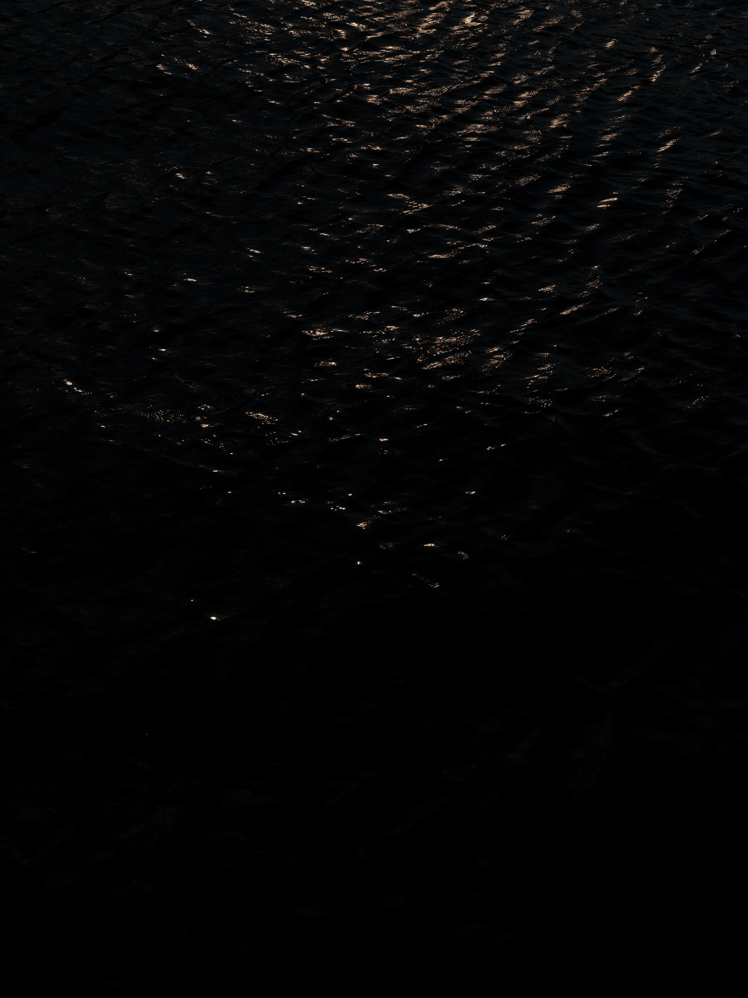 DSCF0333_1.jpg