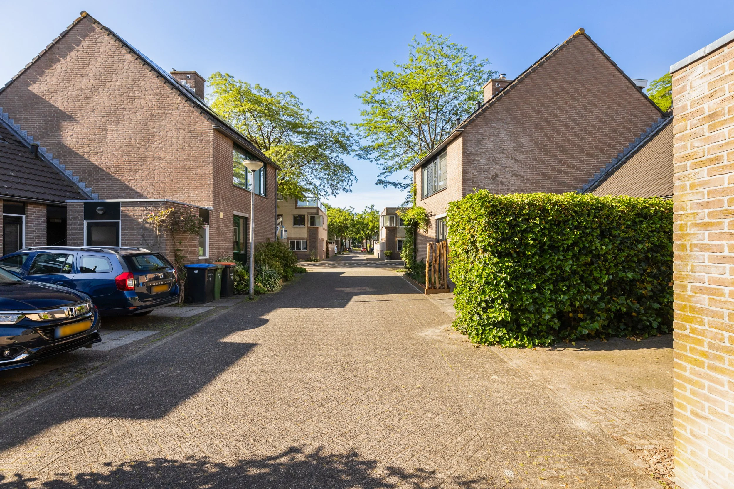 Kameelvlinder 5, Amersfoort-1.jpg