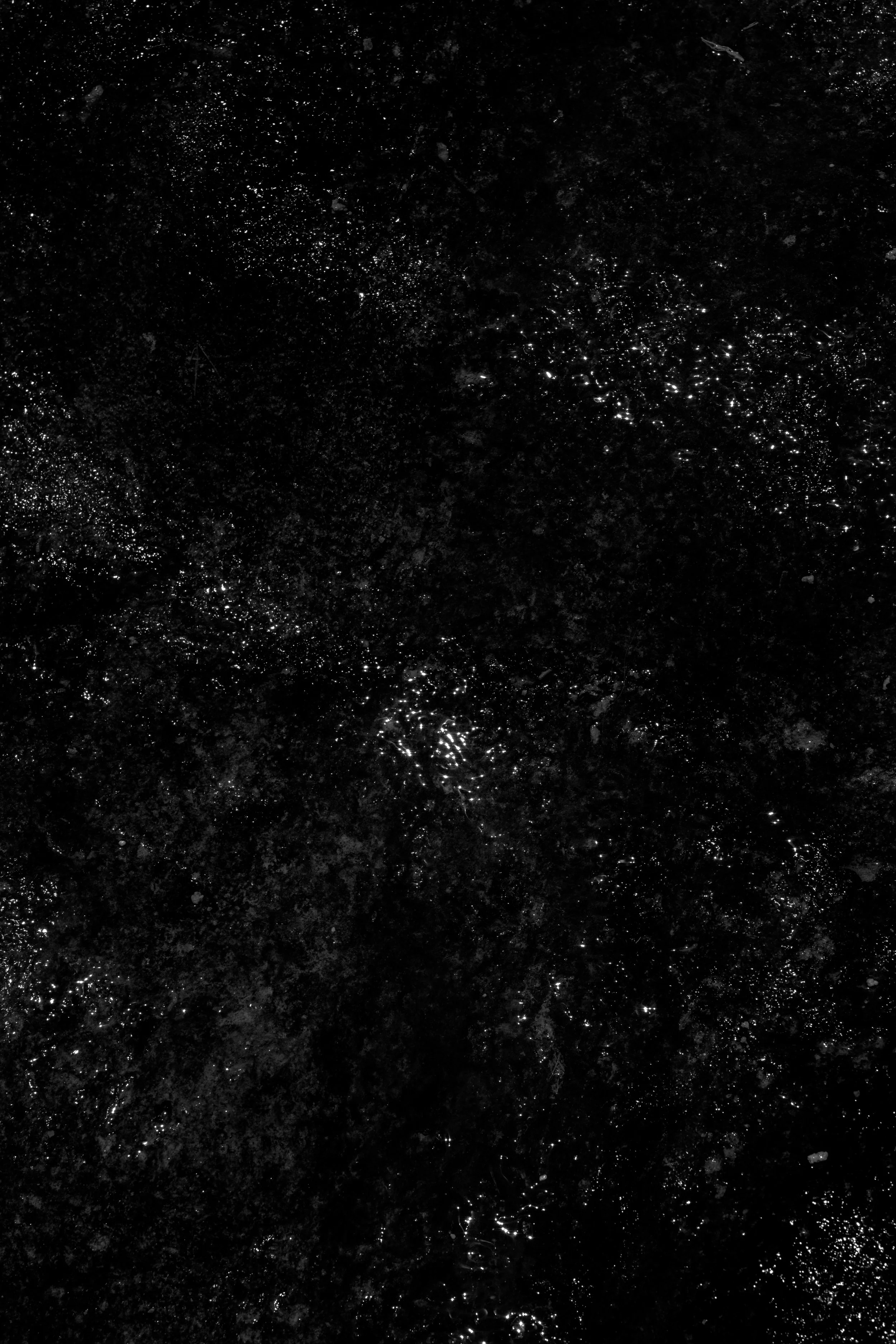 SCINTILLAE DSCF7697.jpg