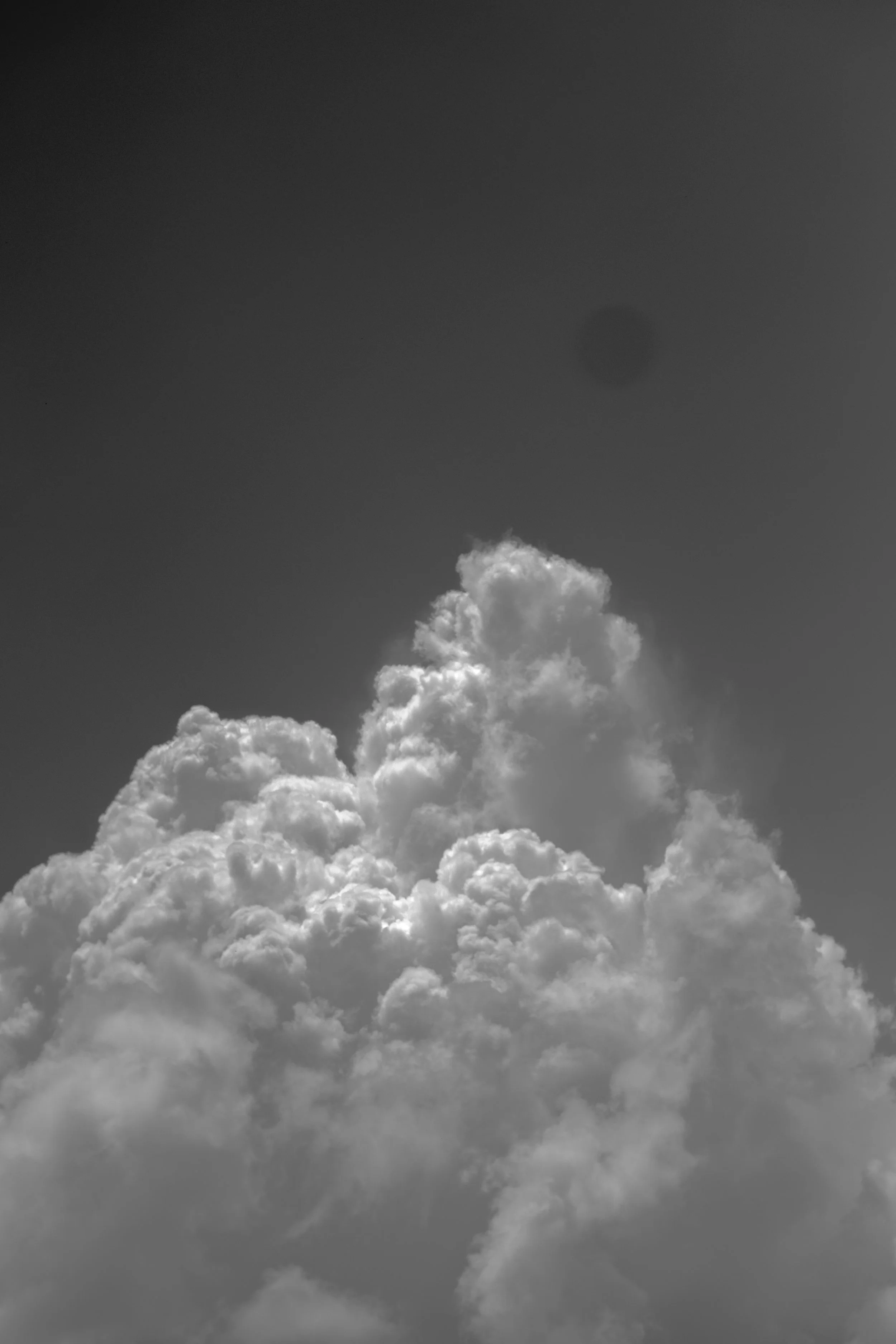 volatility