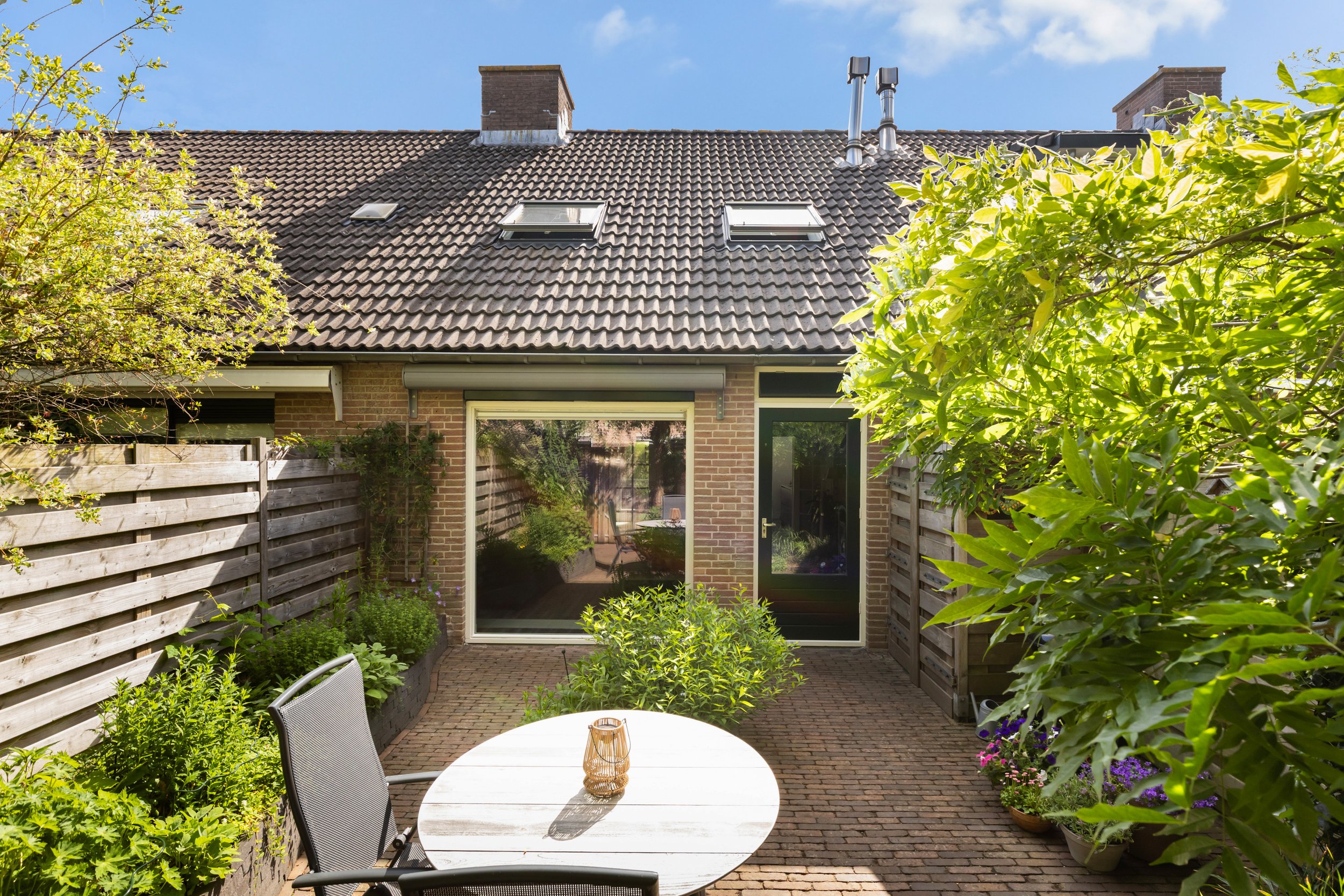 Kameelvlinder 5, Amersfoort-23.jpg