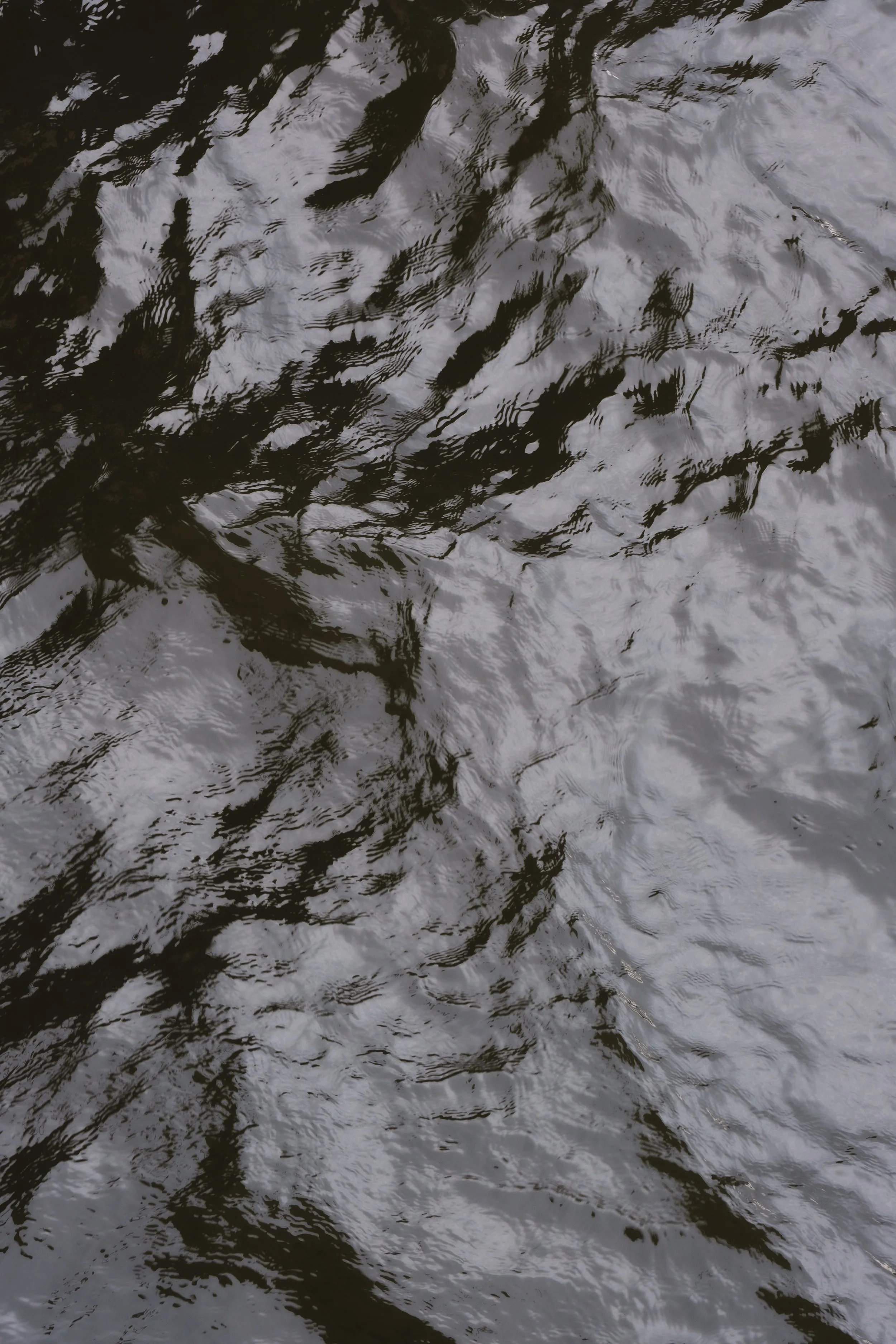 DSCF7848.jpg