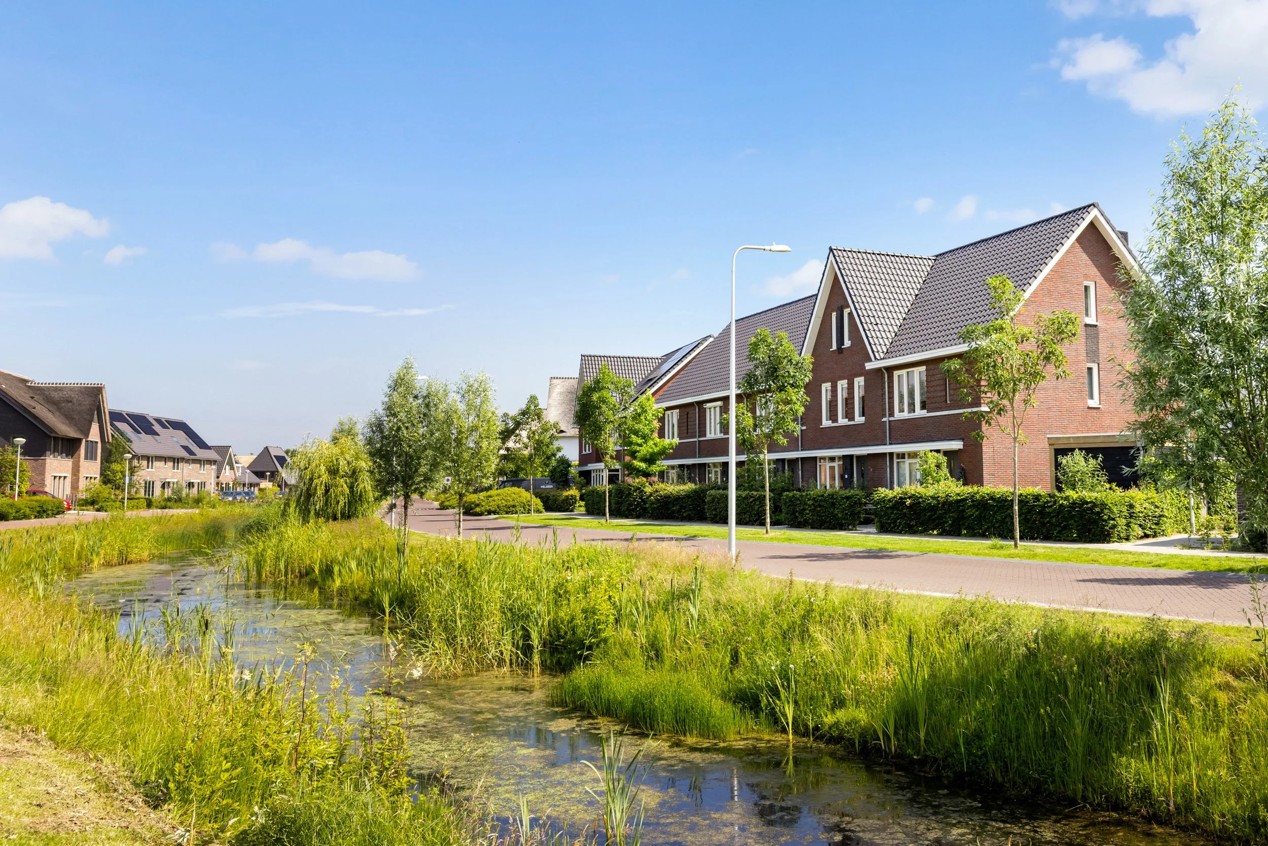 Laan door Hoevelaar 24_02.jpg