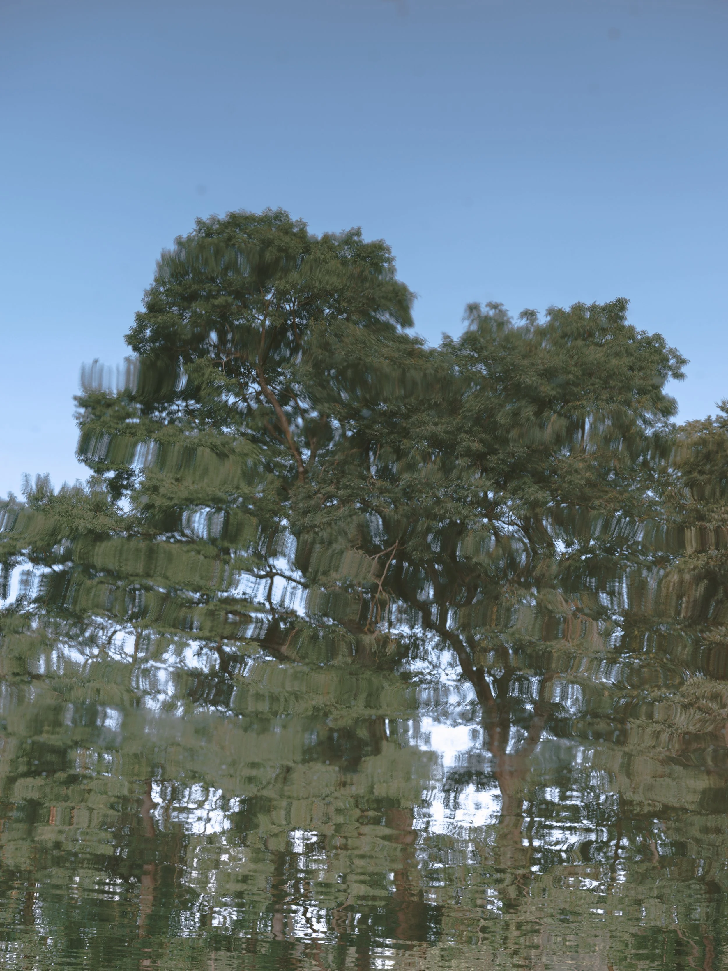 DSCF9204.jpg