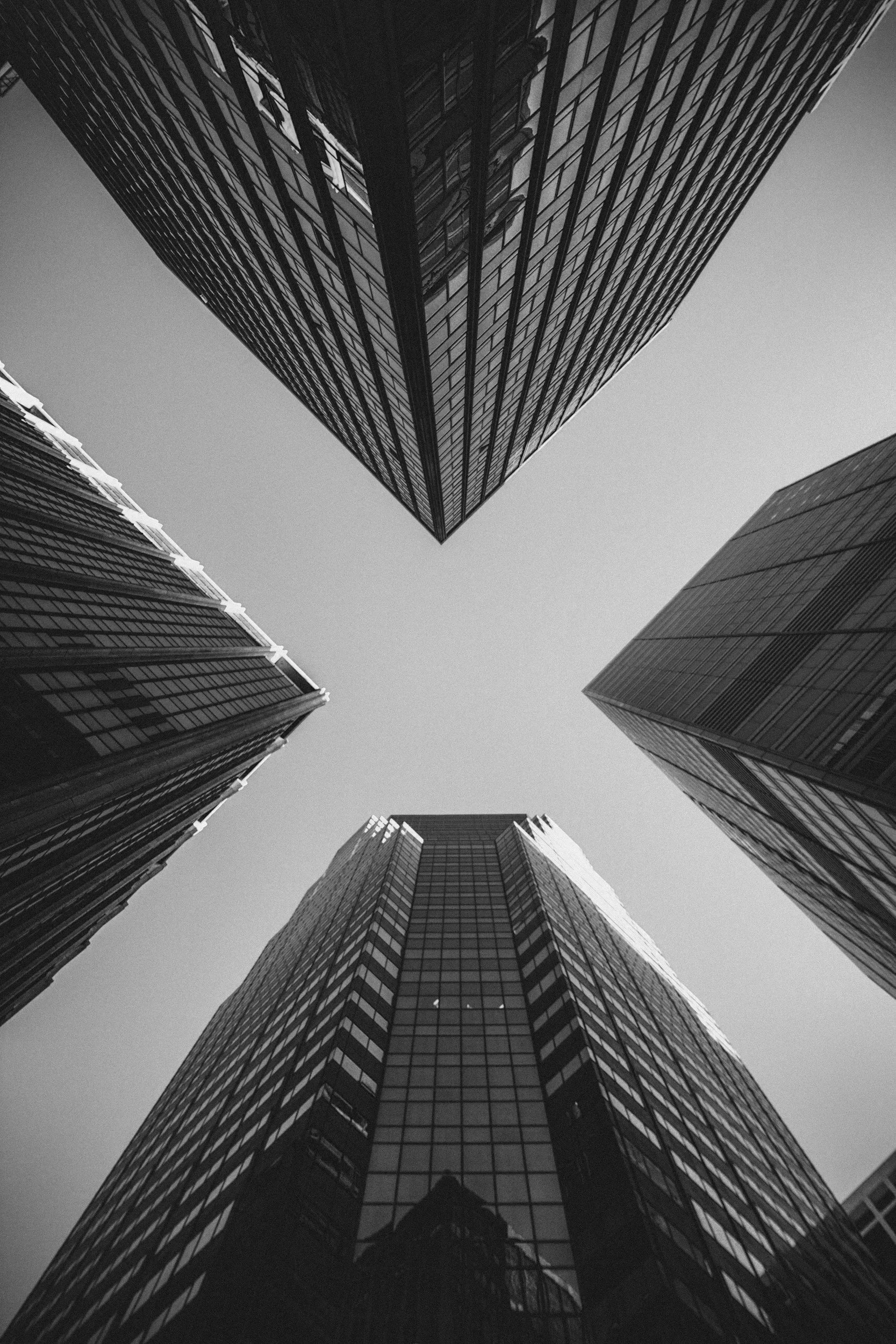 professional grade services