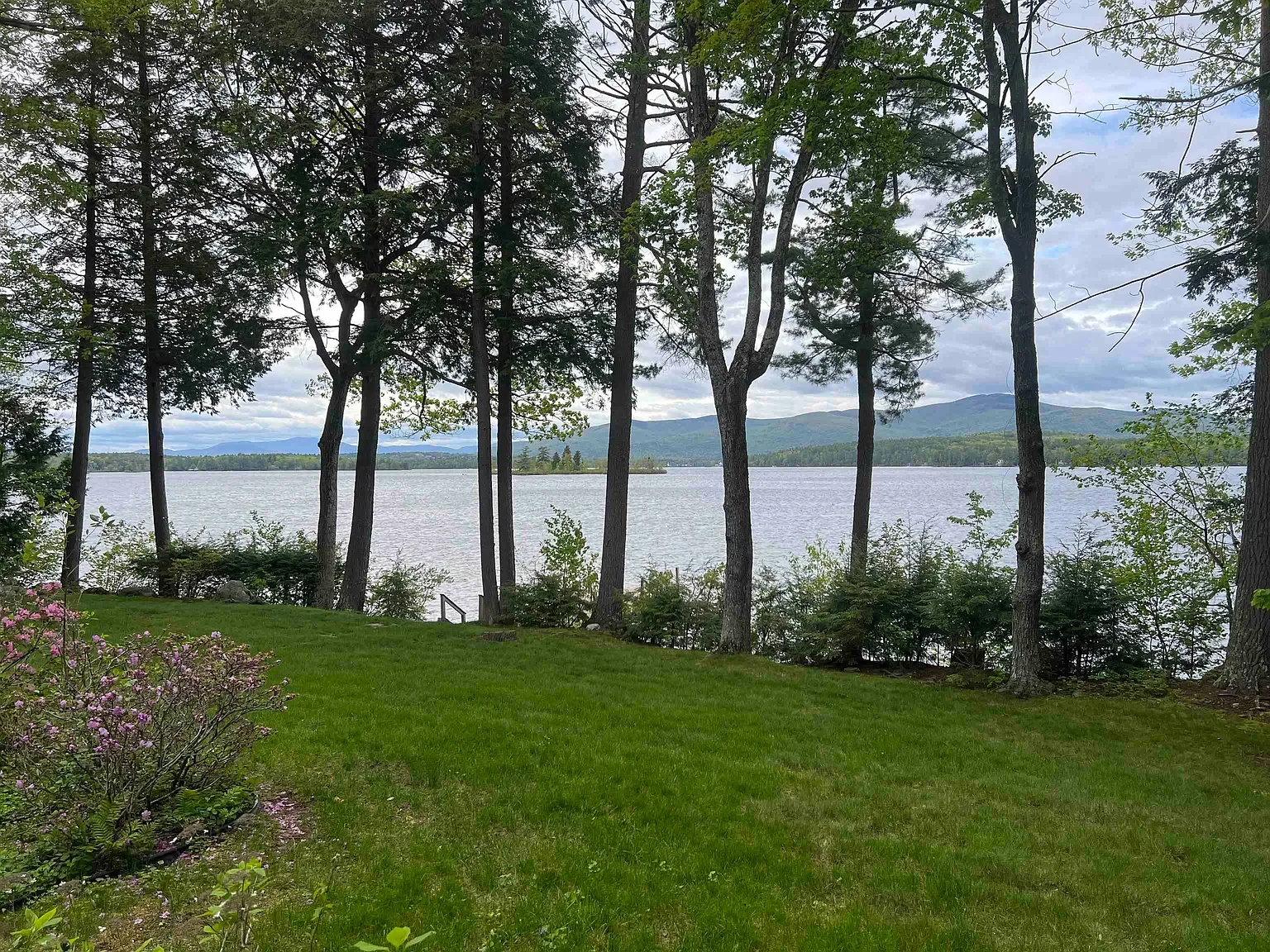 87 Chase Point Road - Margot Skelley (3).webp