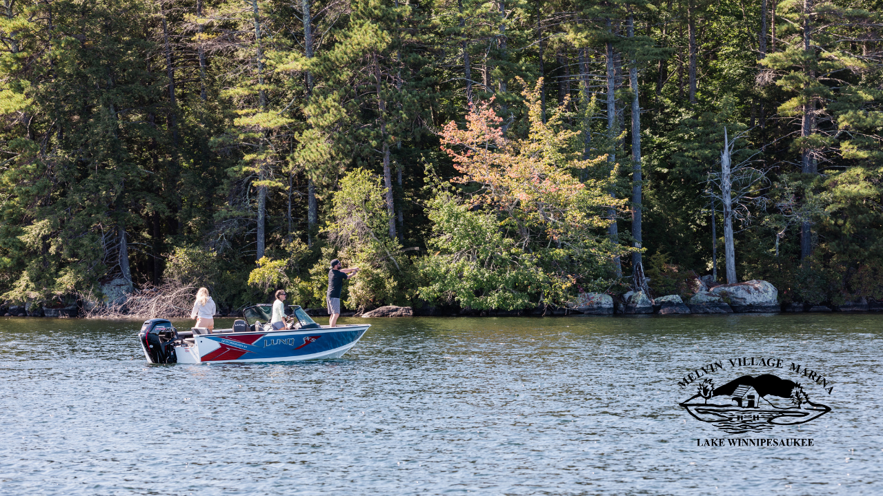 Lake Winnipesaukee by Margot Skelley