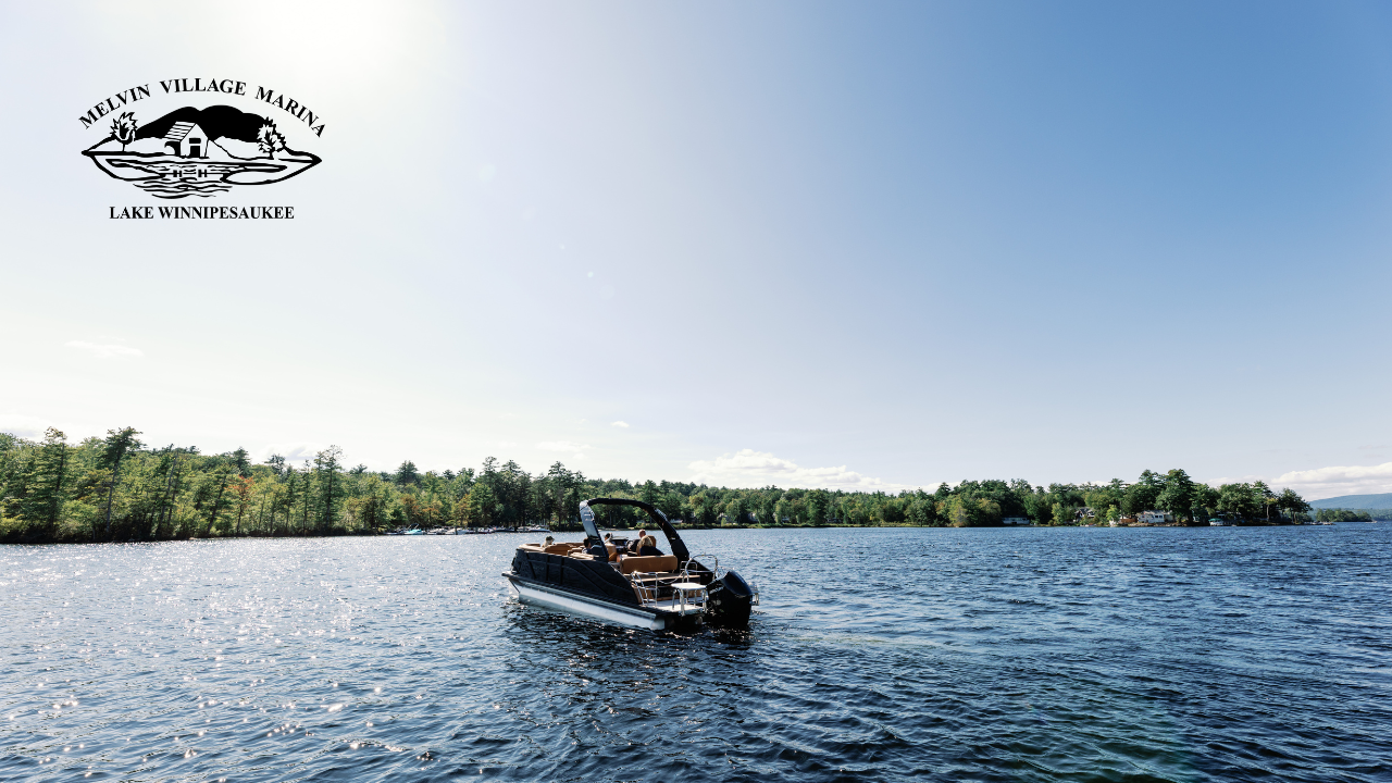Lake Winnipesaukee by Margot Skelley