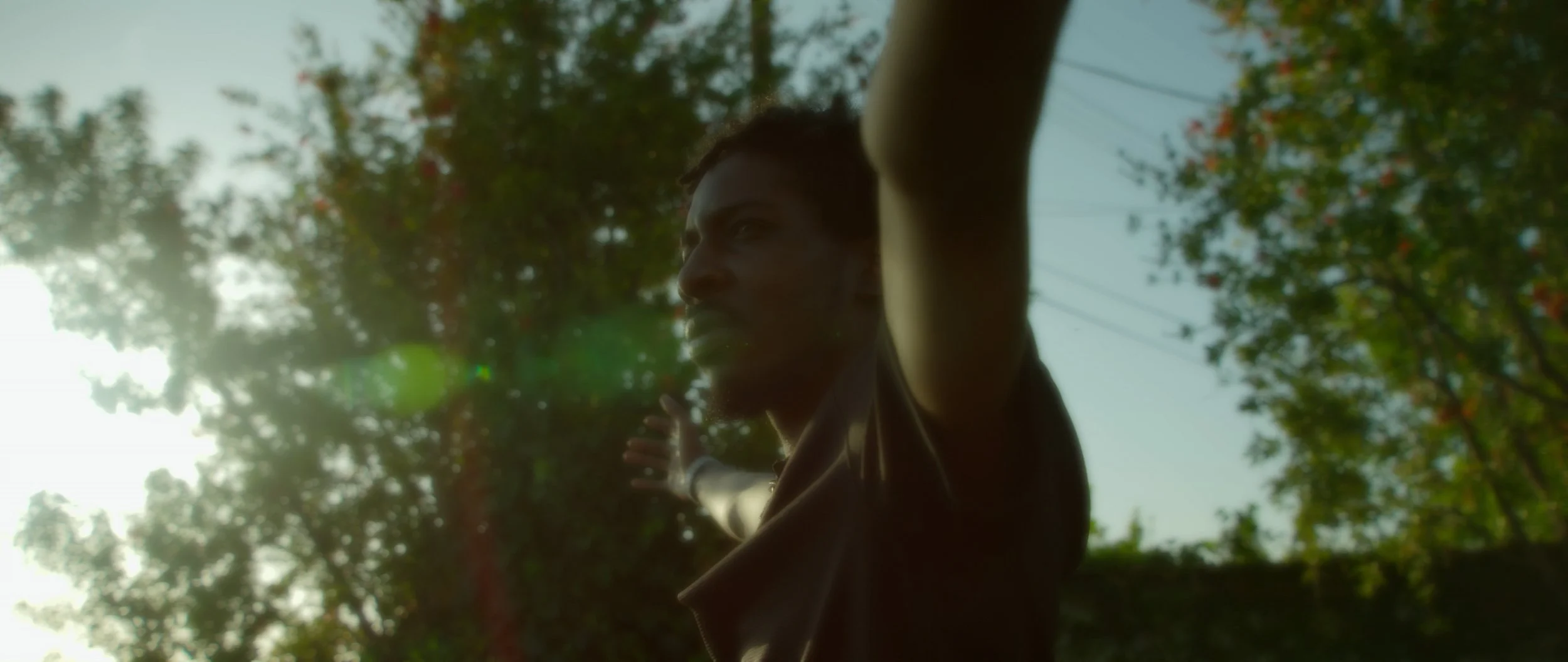 Tunnel Vision - SVSEEN