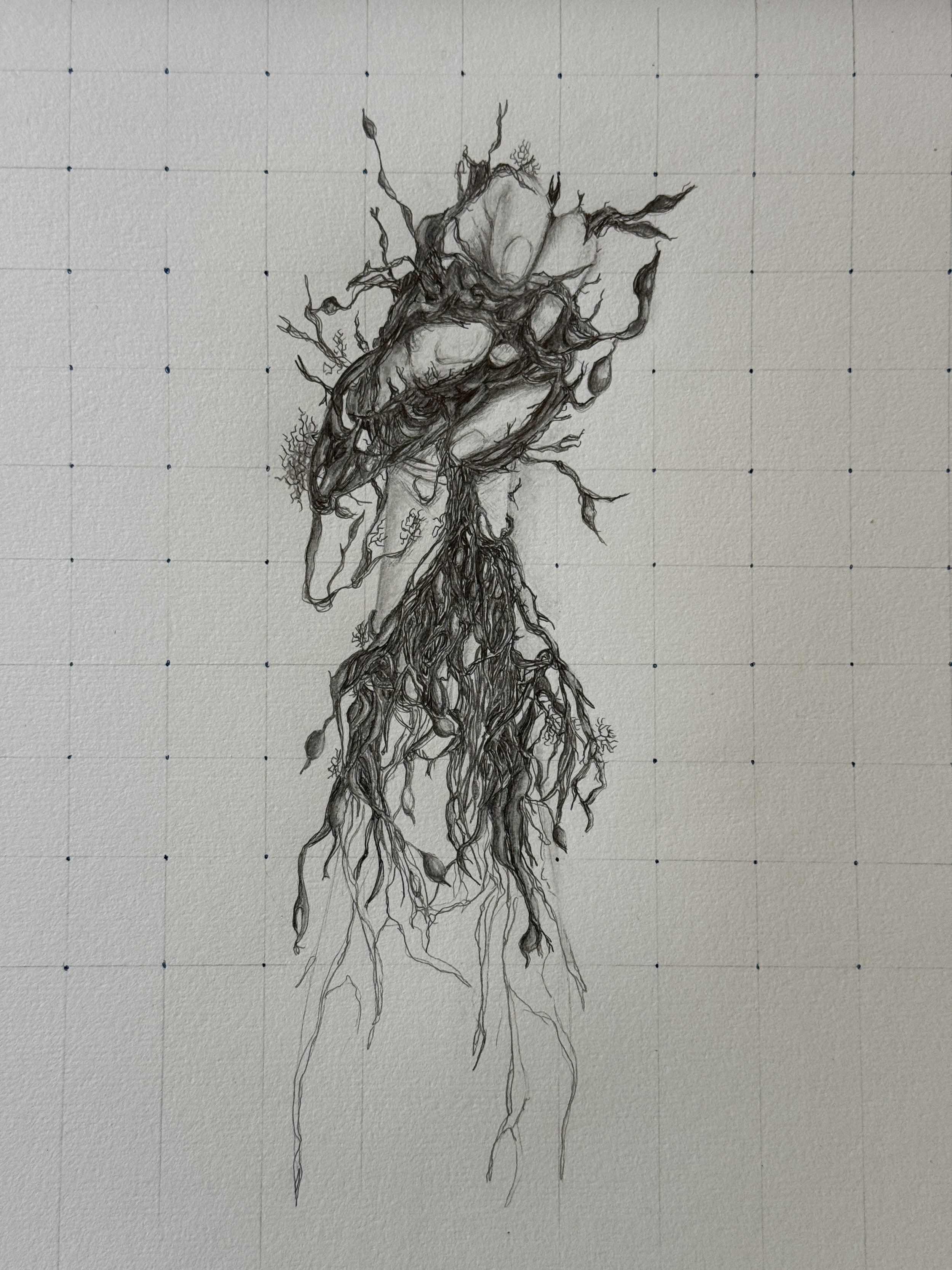 ‘Seaweed and hand gridded’, Pencil and pen