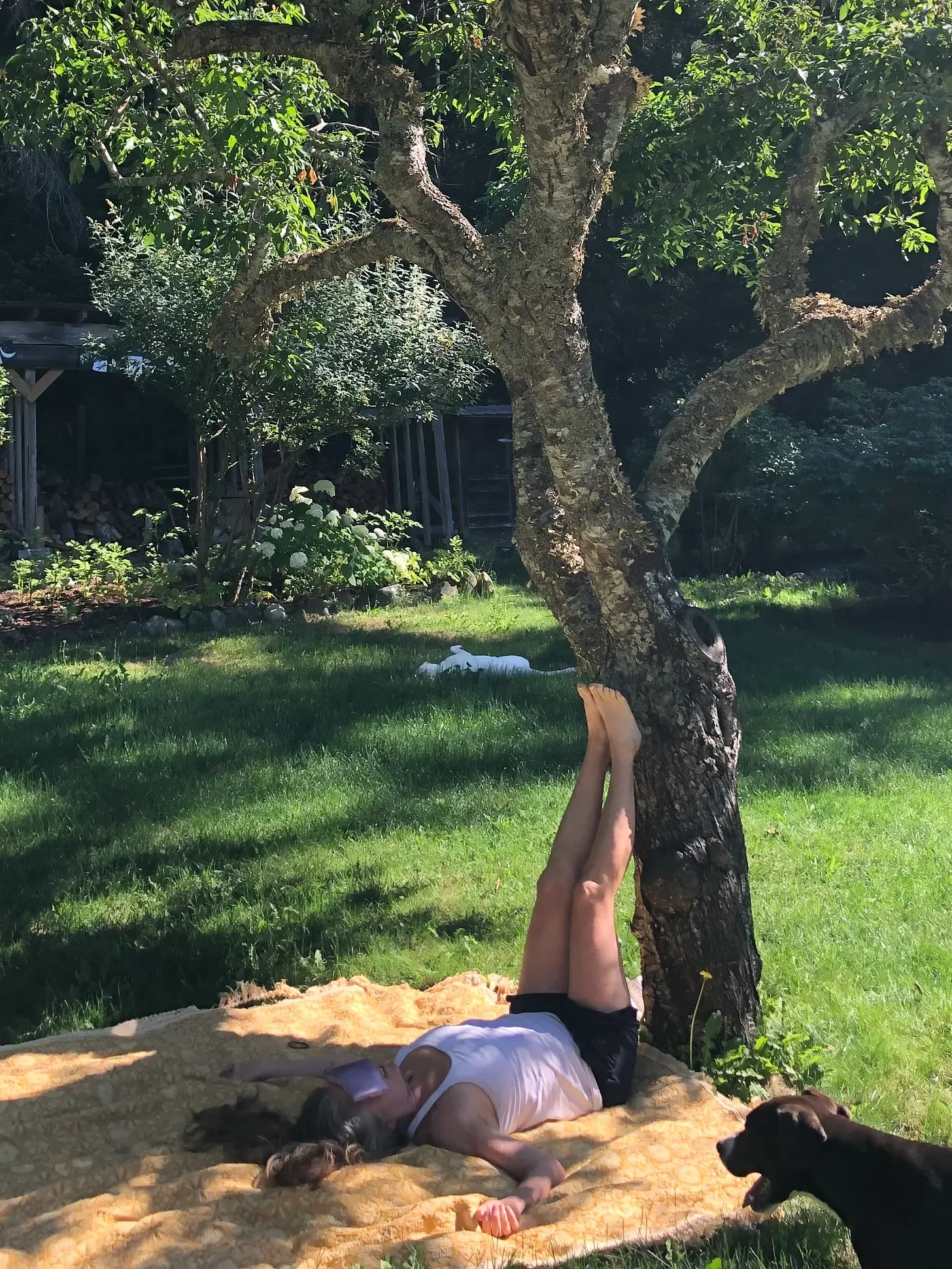 My favorite yoga shape to meet the summer heat