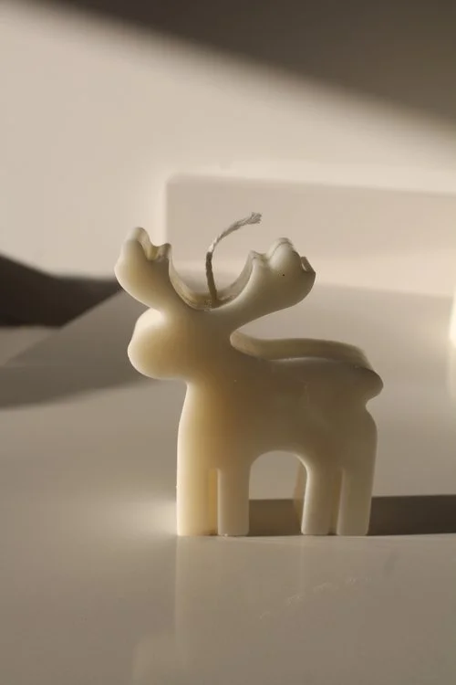 reindeer