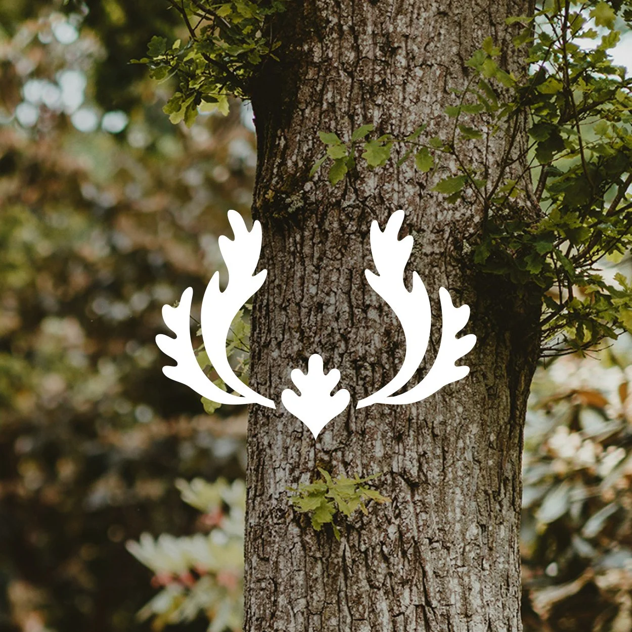 GATEWAY TO NATURE