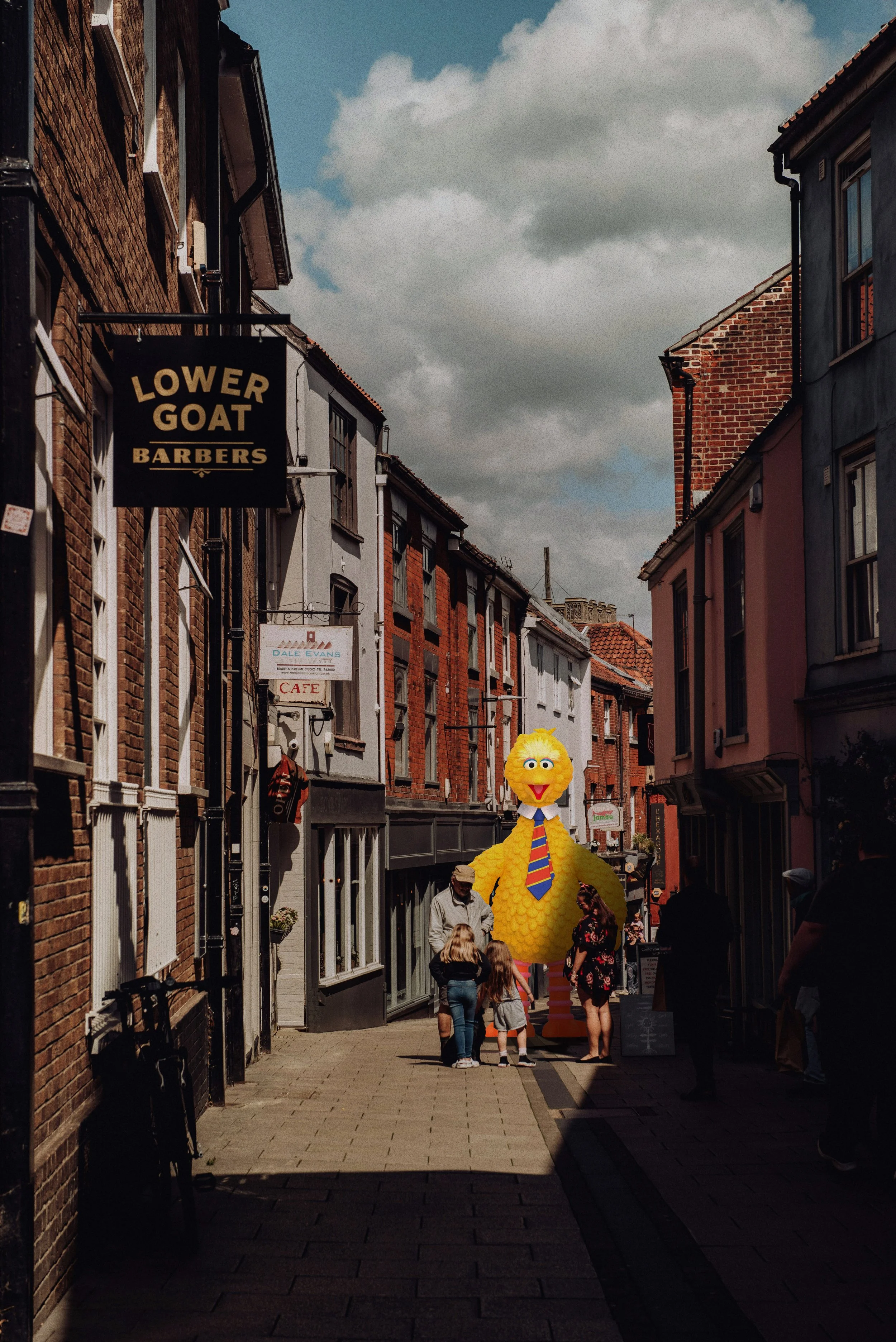 Norwich_Lower Goat.jpg