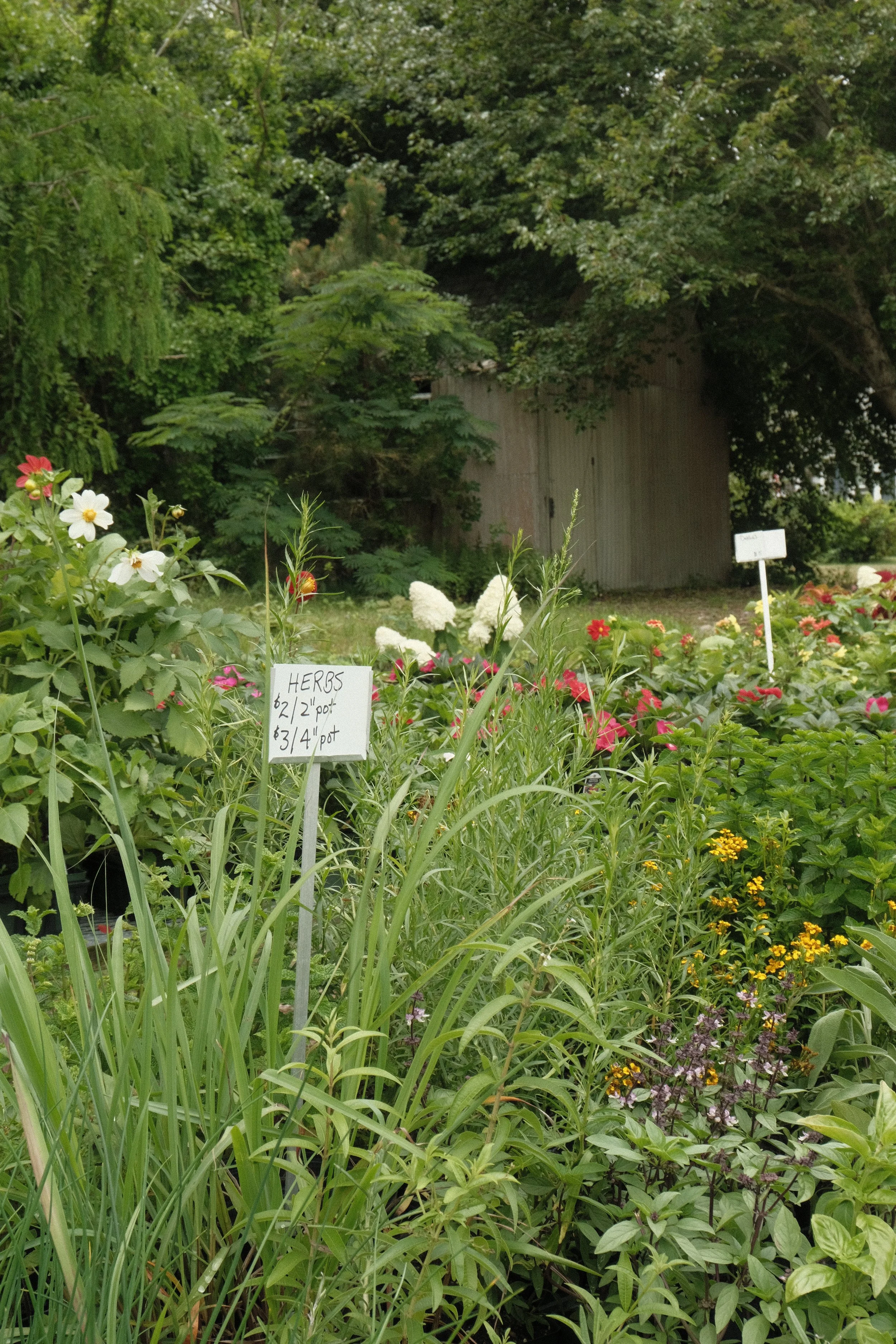 DSCF4762.jpg