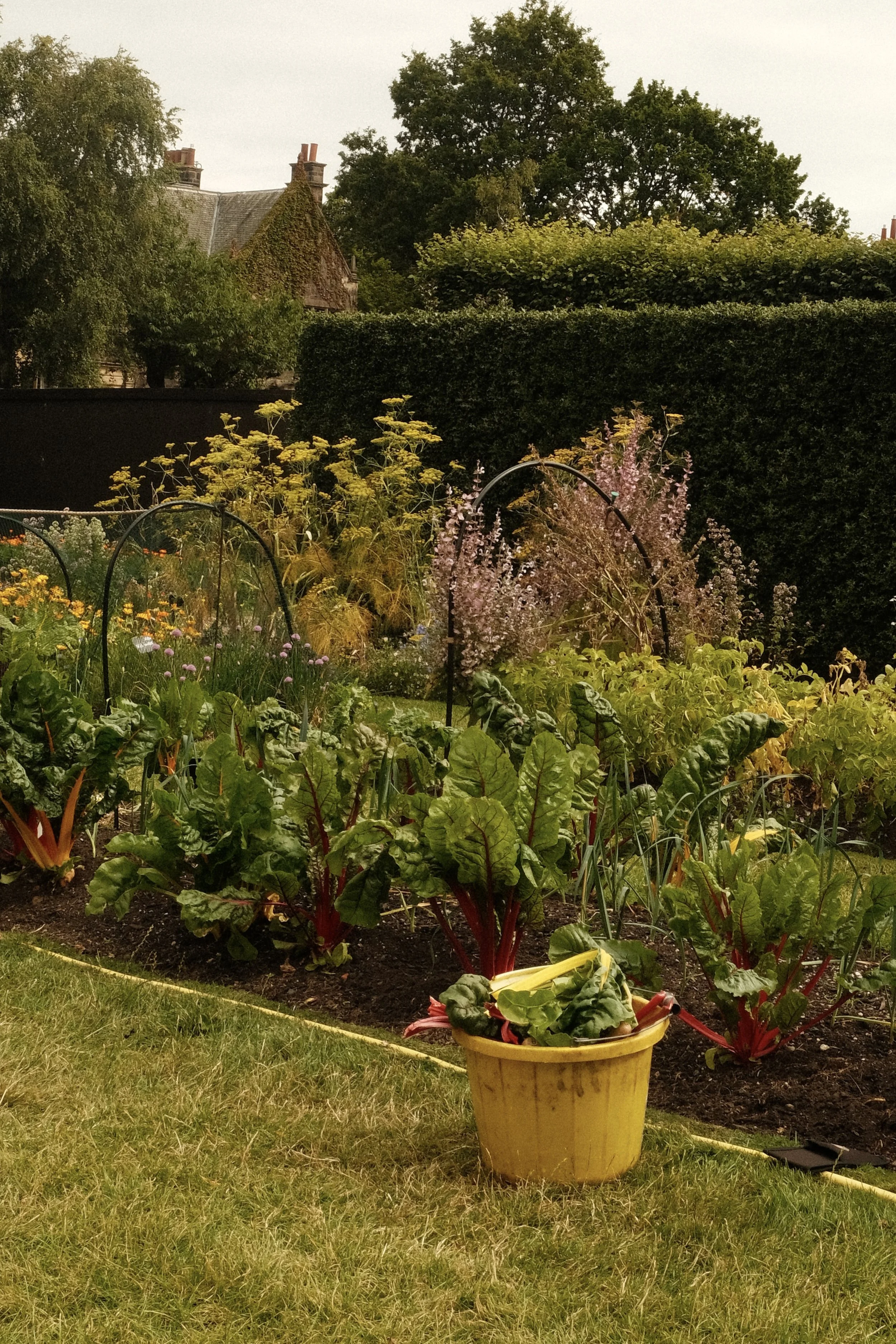 DSCF5867.JPG